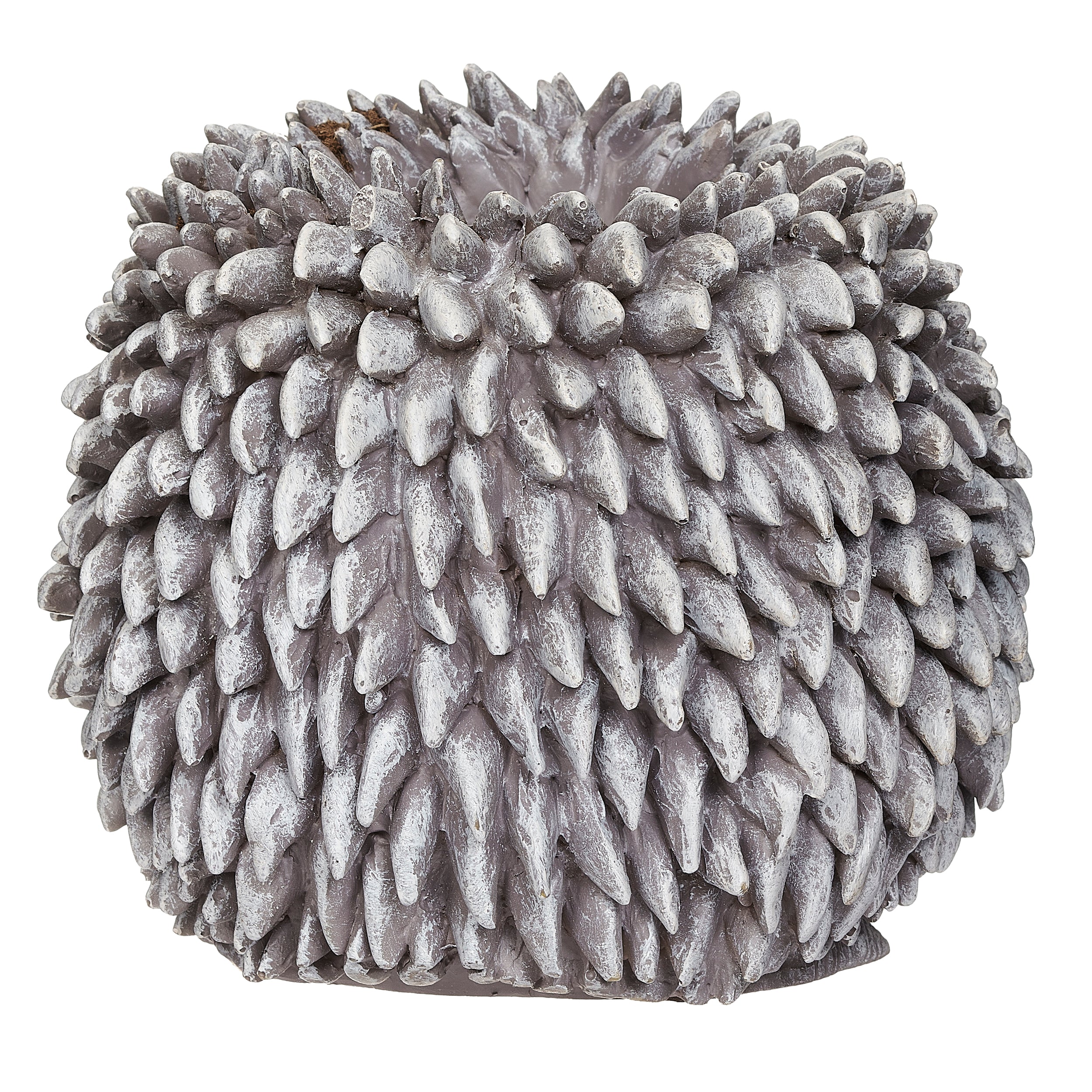 Pudgy Pals Hedgehog with Glasses Planter