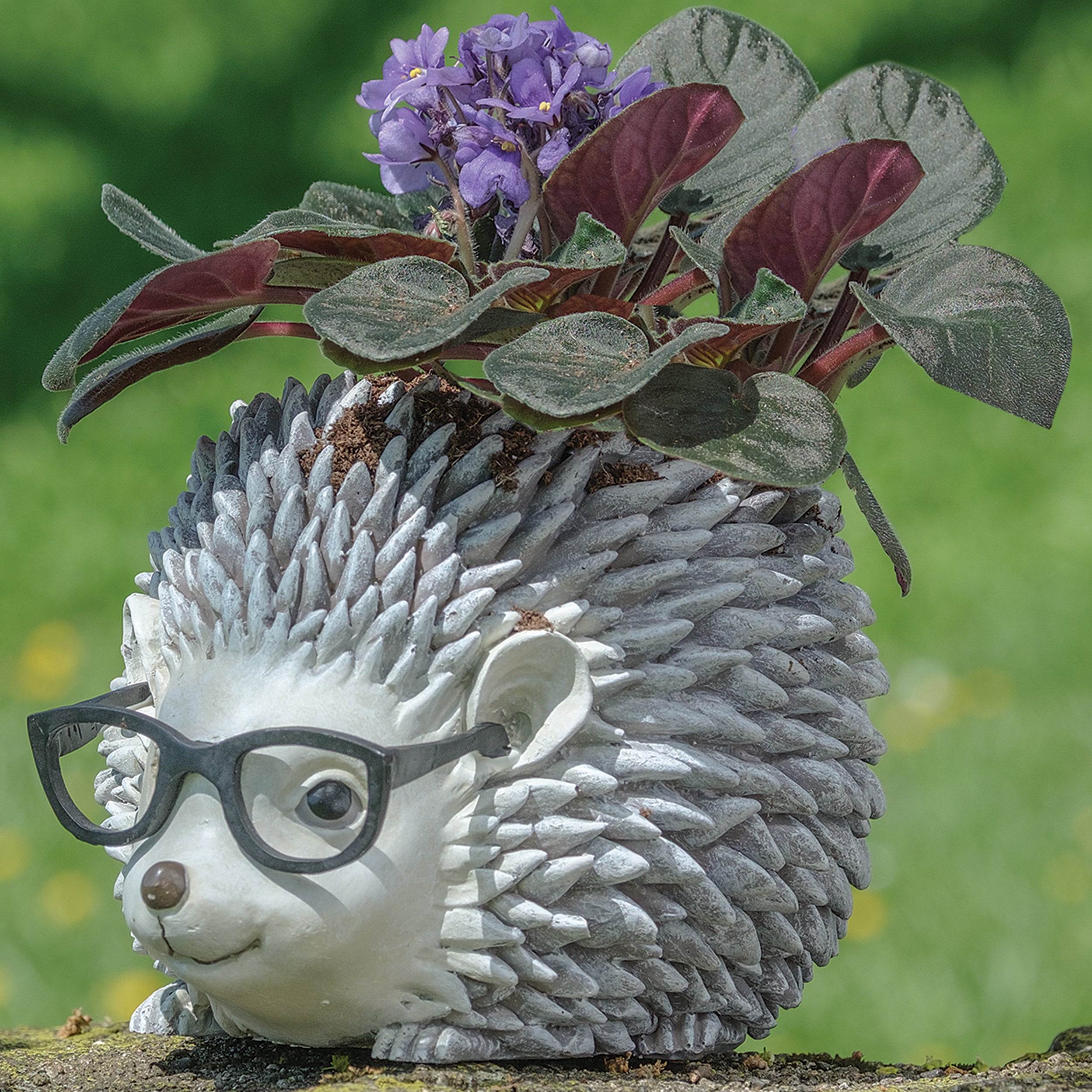 Pudgy Pals Hedgehog with Glasses Planter