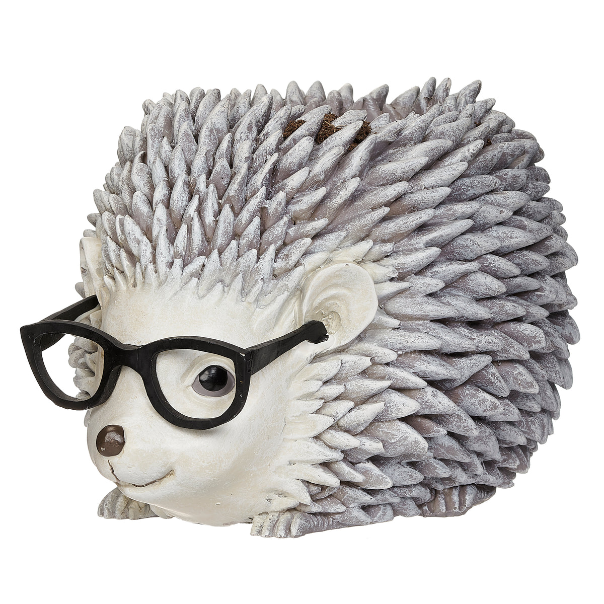 Front angled view of Pudgy Pals Hedgehog with Glasses Planter showing the oversized glasses, cream face, and textured quills