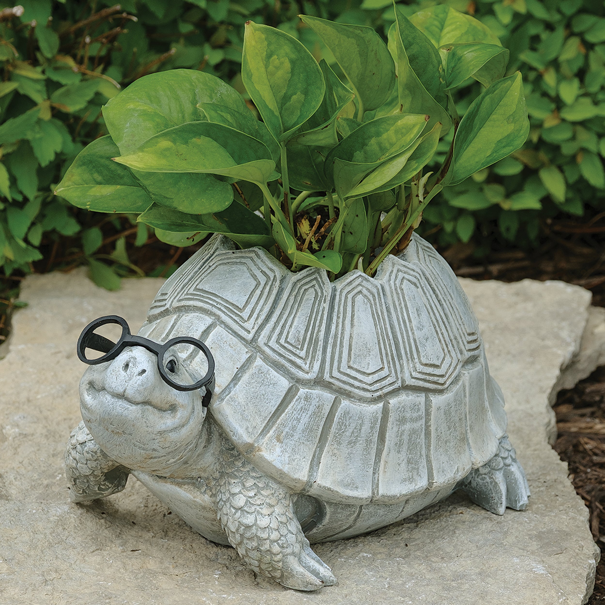 happy turtle pots and plants Pudgy Pals Turtle with Glasses Planter