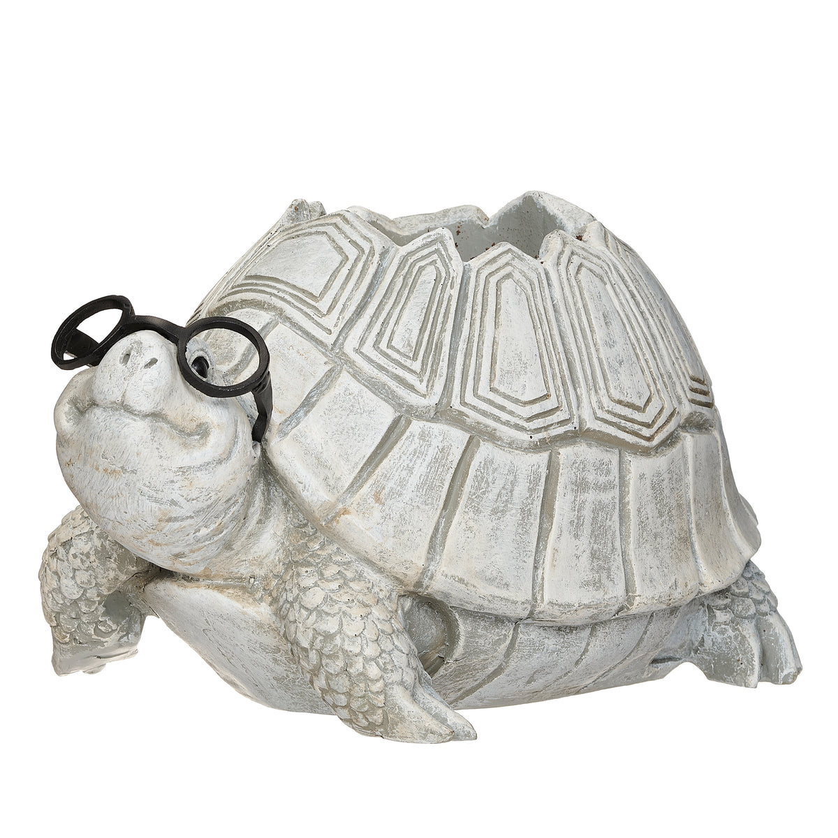 Front angled view of Pudgy Pals Turtle with Glasses Planter showing the black glasses, textured shell, and planter opening