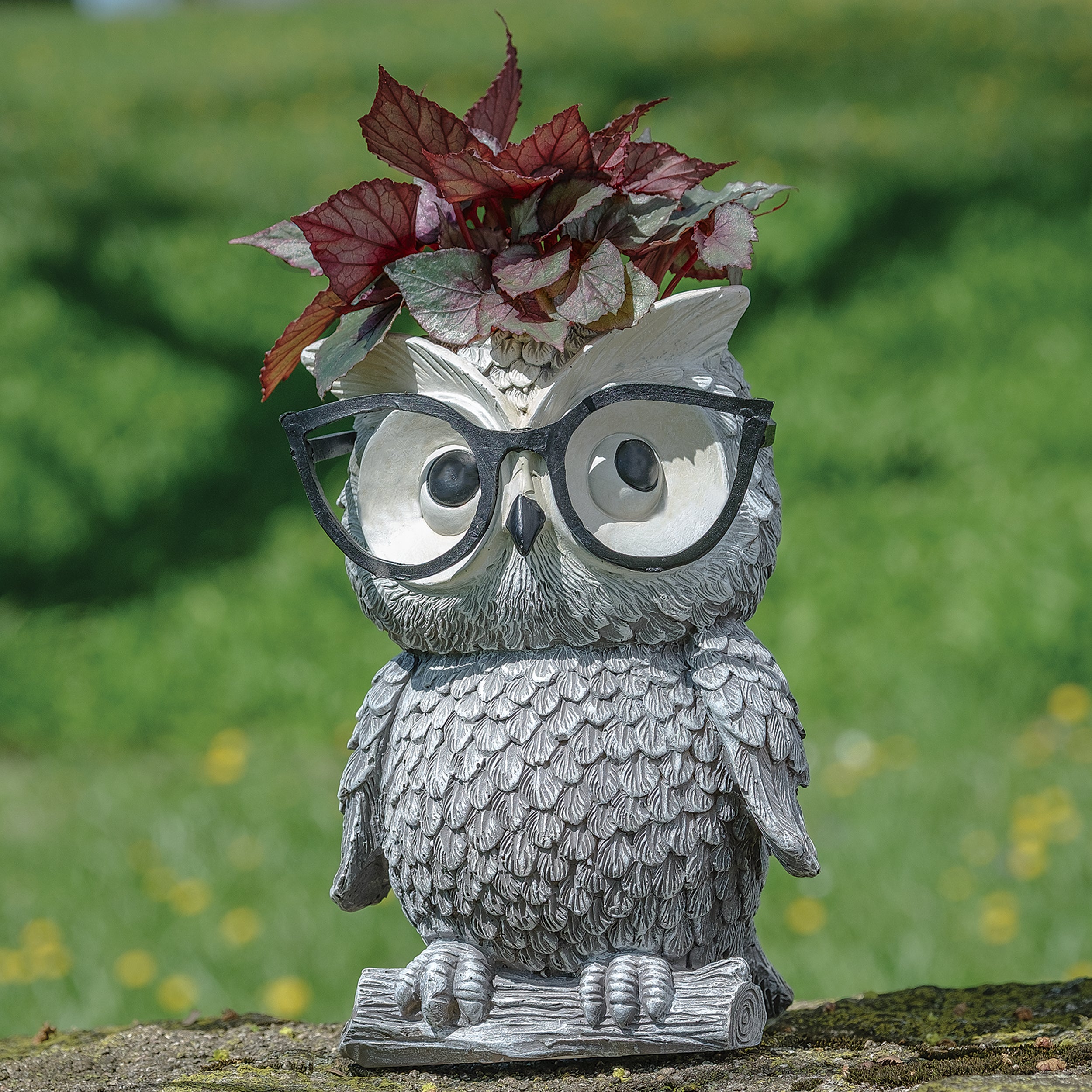 owl pots for succulents Pudgy Pals Owl with Glasses Planter