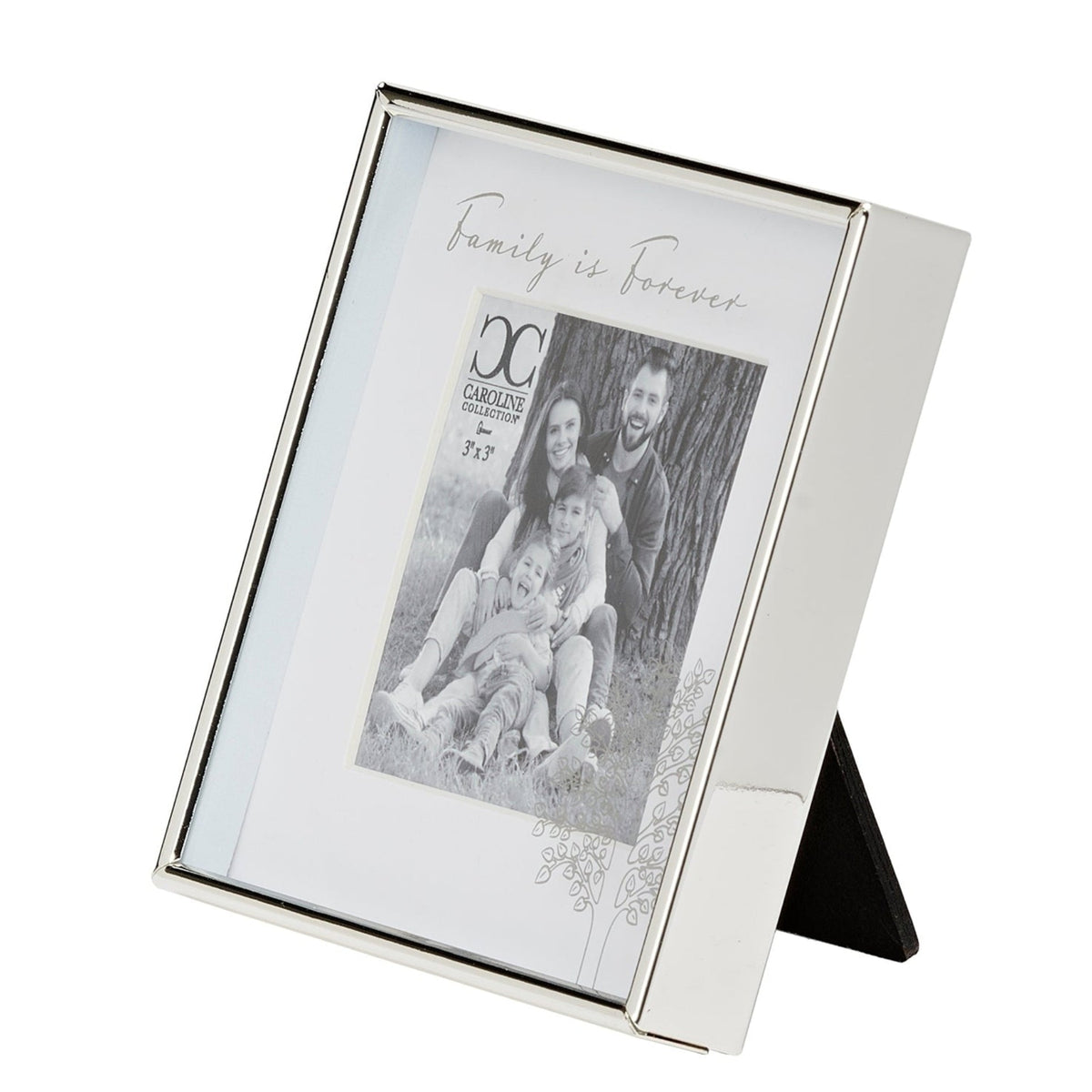 Front angled view of Caroline Collection Family Is Forever Picture Frame showing the silver-tone frame, floral details, and tabletop easel stand