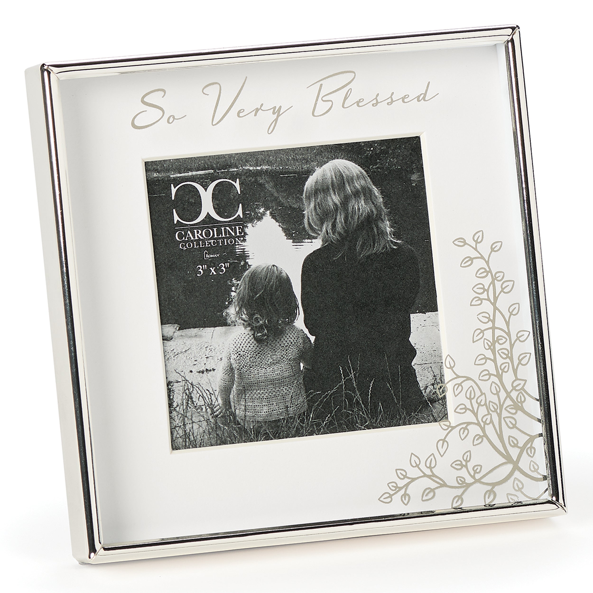 Caroline Collection So Very Blessed Frame