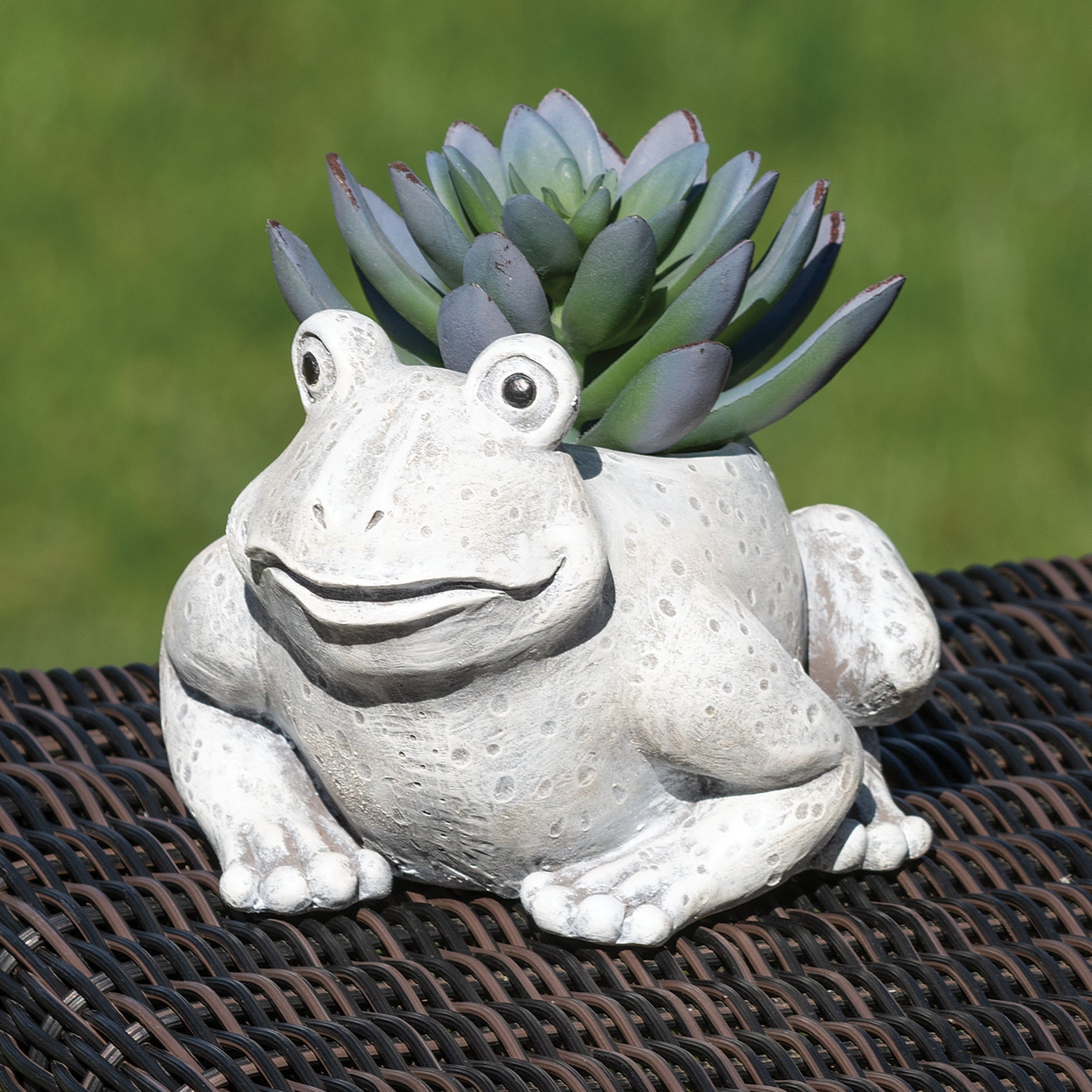 Pudgy Pals Mini Frog Planter