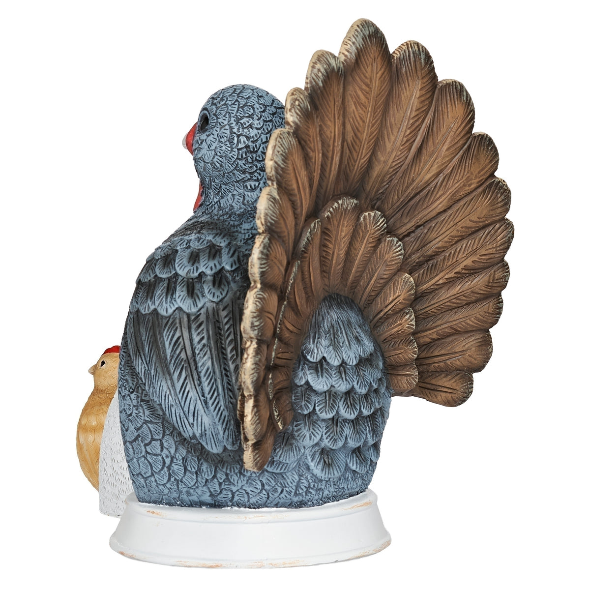 Side view of the turkey showing its projecting chest, layered tail feathers, and white base.