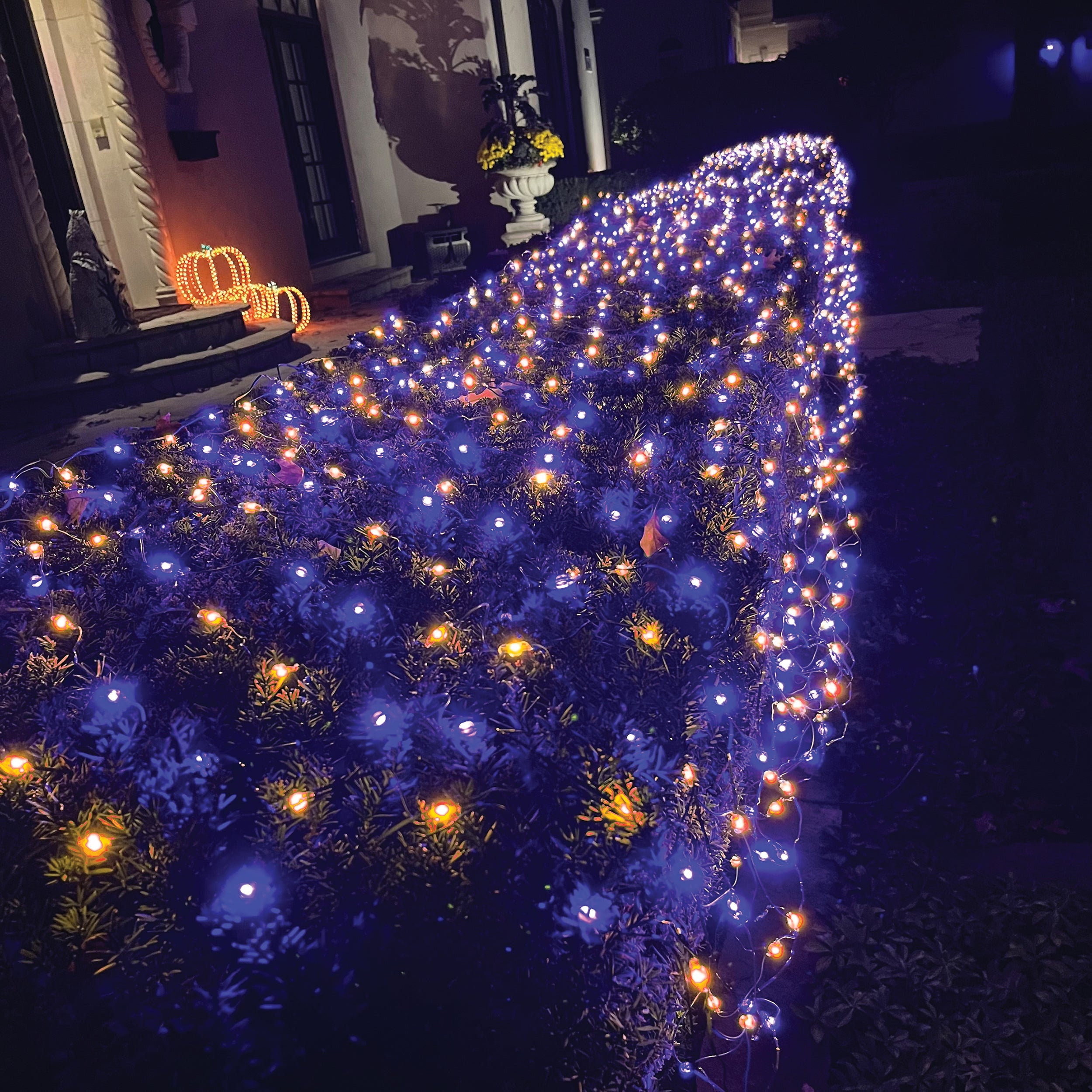 Roman Lights Color-Changing Starry LED Net Lights
