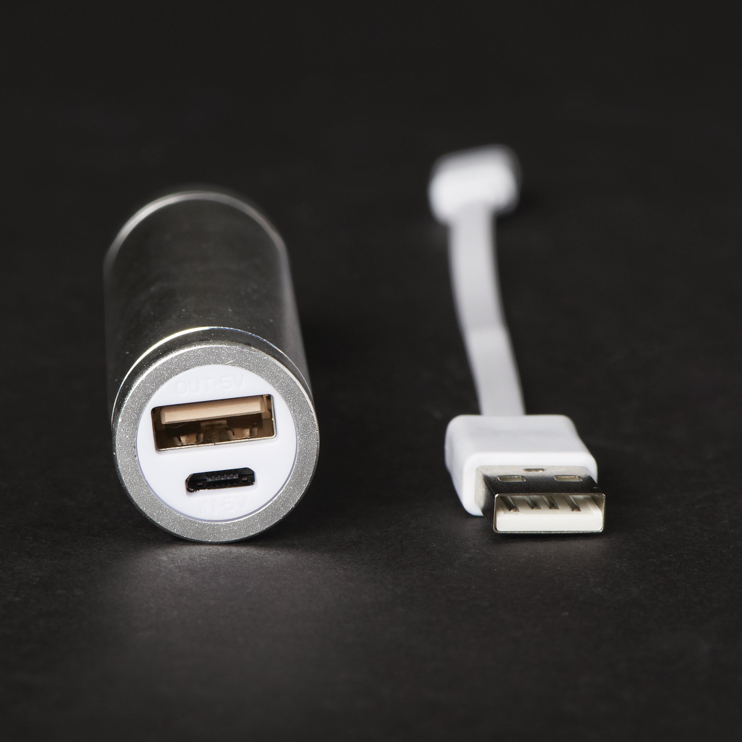 Roman Lights USB Rechargeable Power Bank with Micro USB Cable