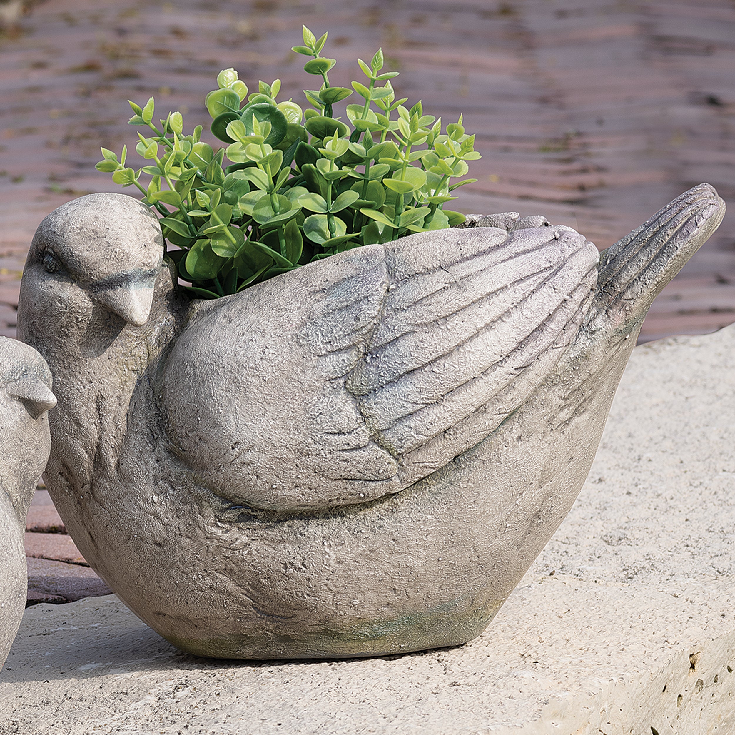 bird succulent planter Bird Planter