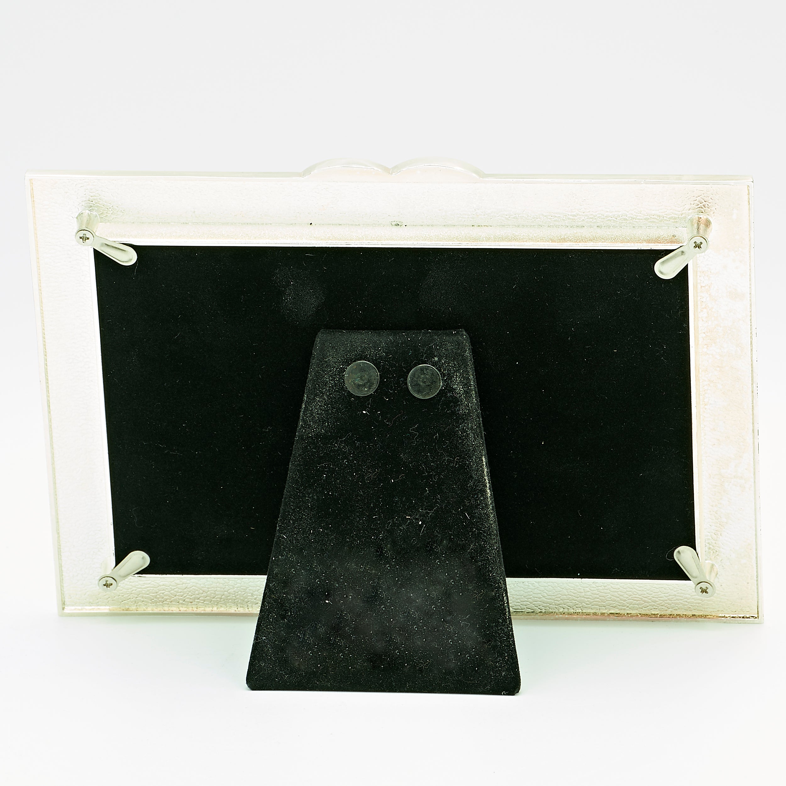 Caroline Collection Together Forever Frame with Rings