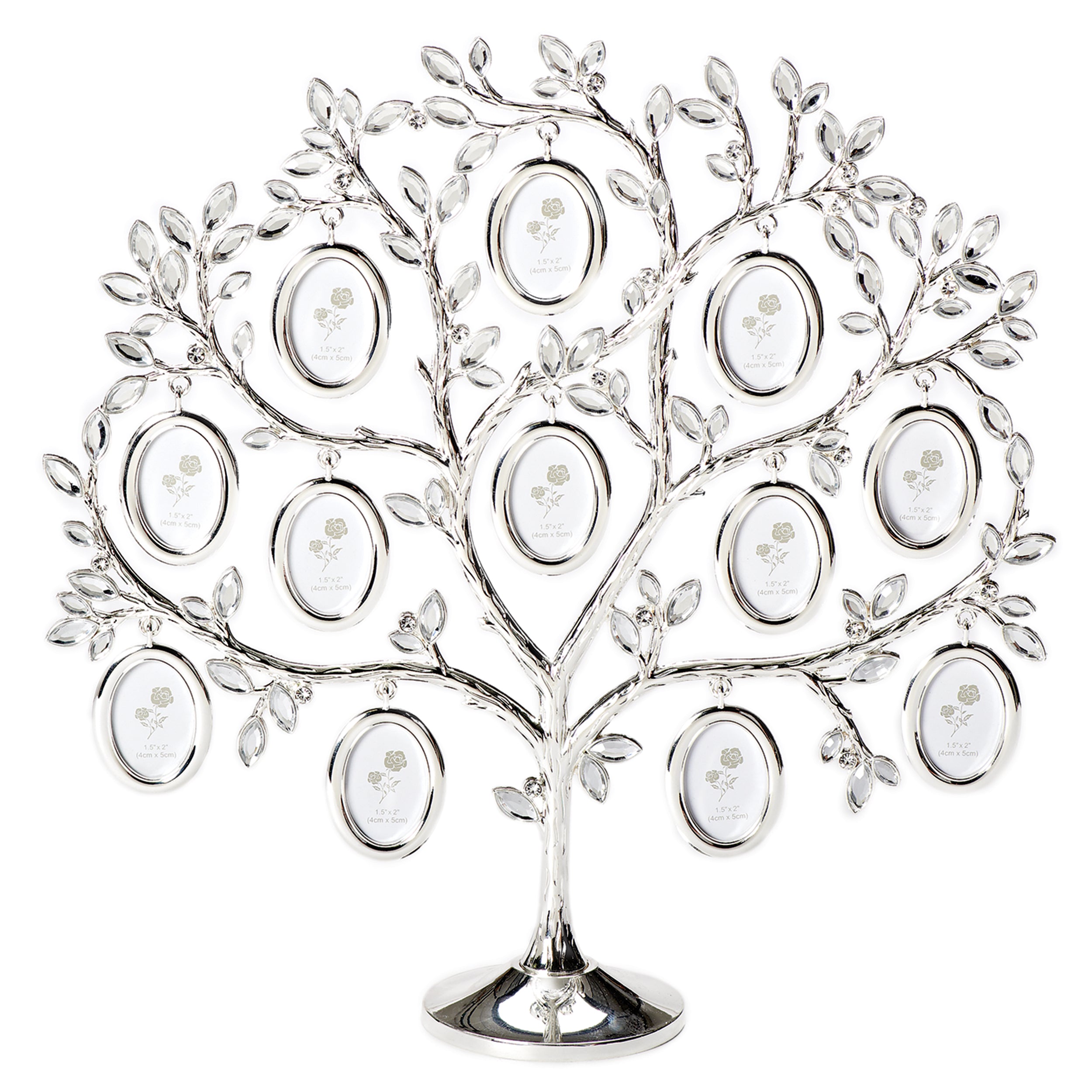 Caroline Collection Family Tree 12 Photo Frame