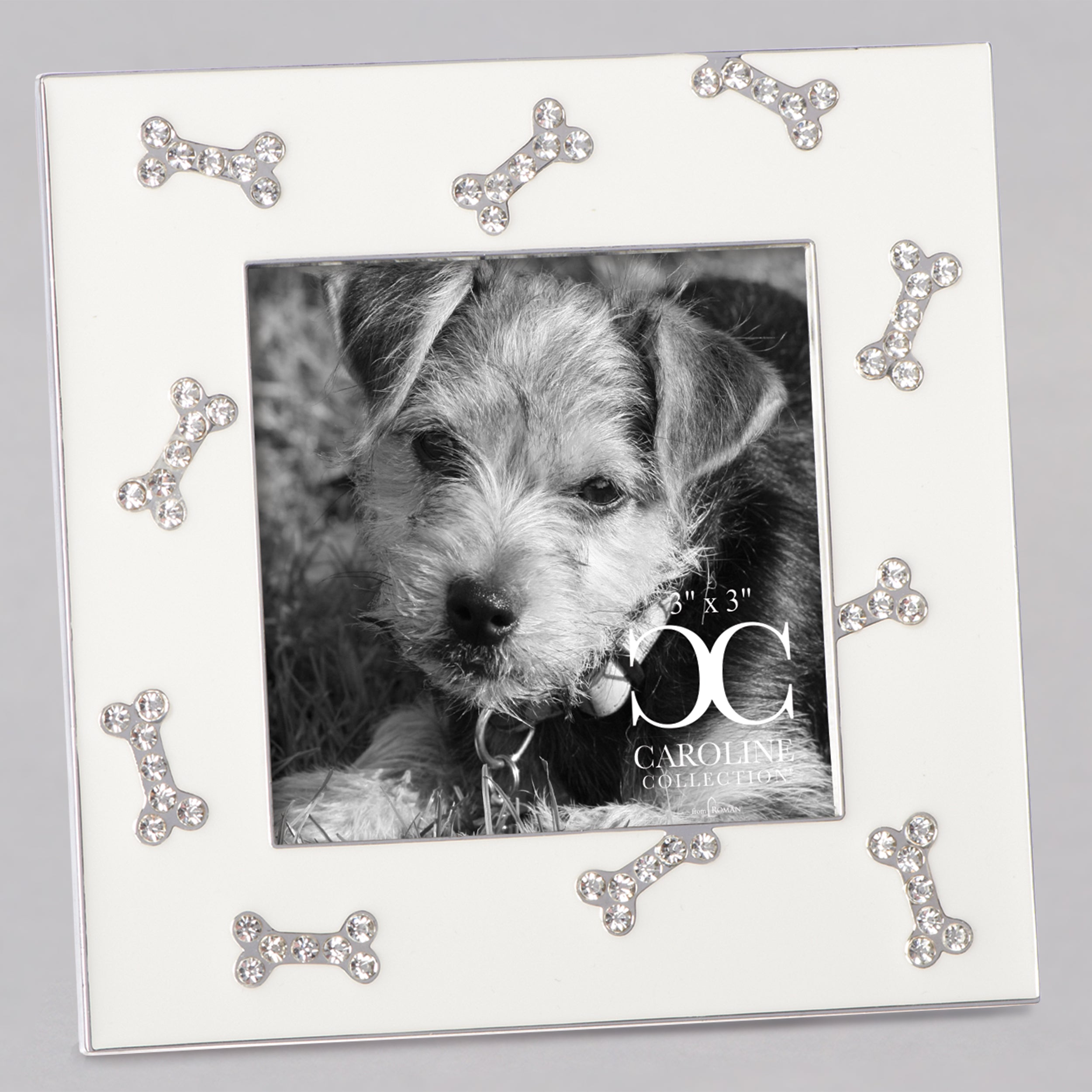 Caroline Collection Crystal Dog Bone Frame