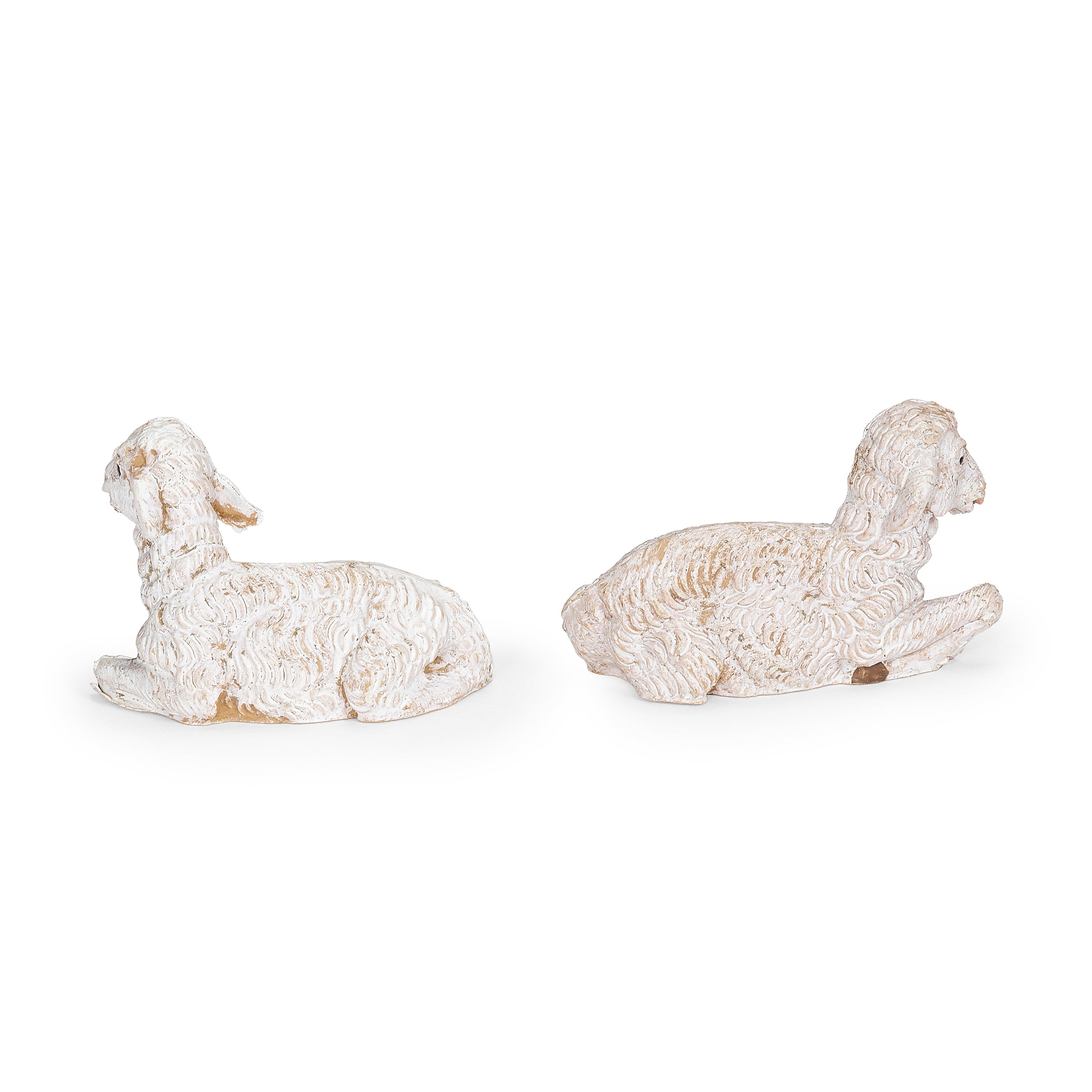 Fontanini White Sheep 6-PC Family - 5" Scale