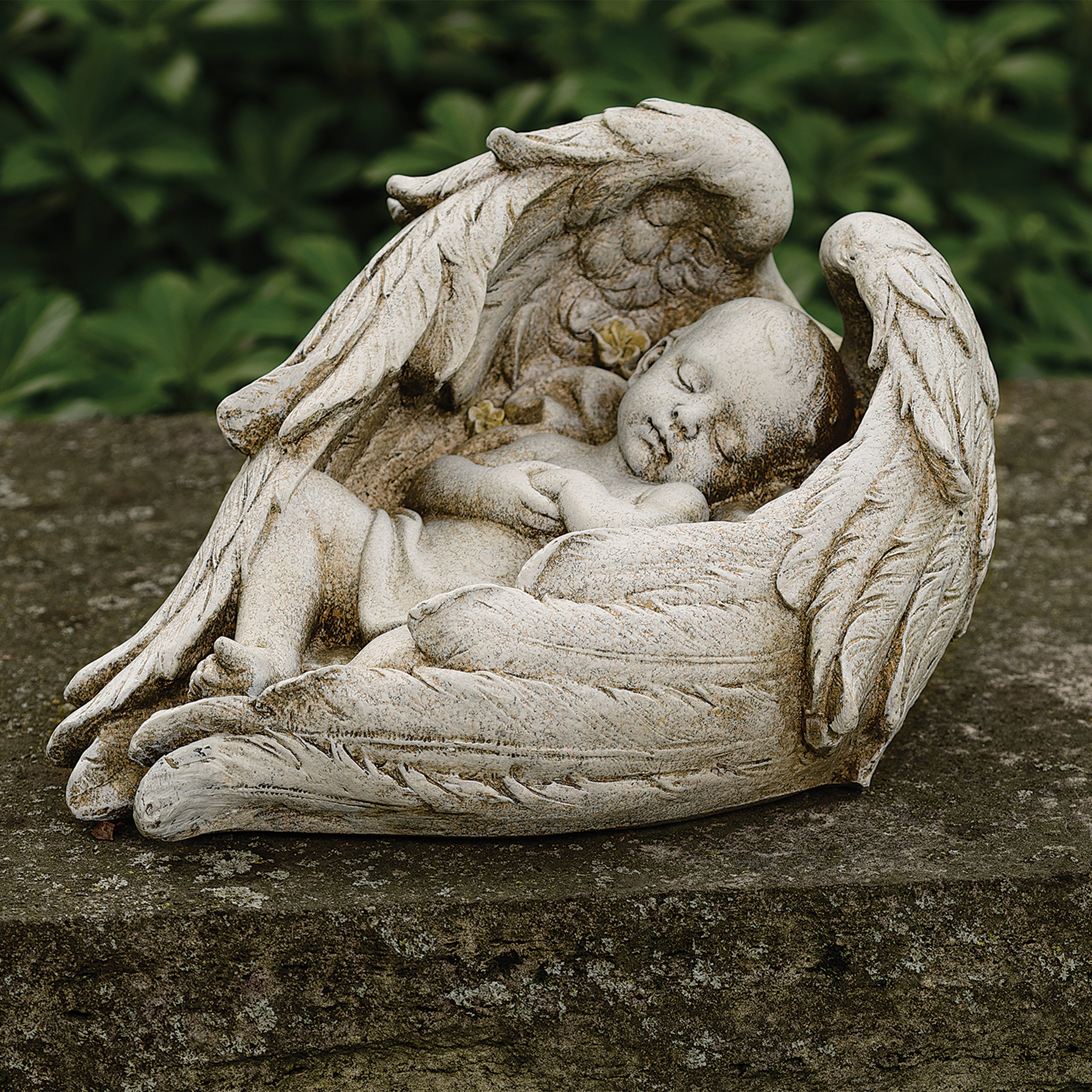 Joseph's Studio Baby Sleeping in Wings Status