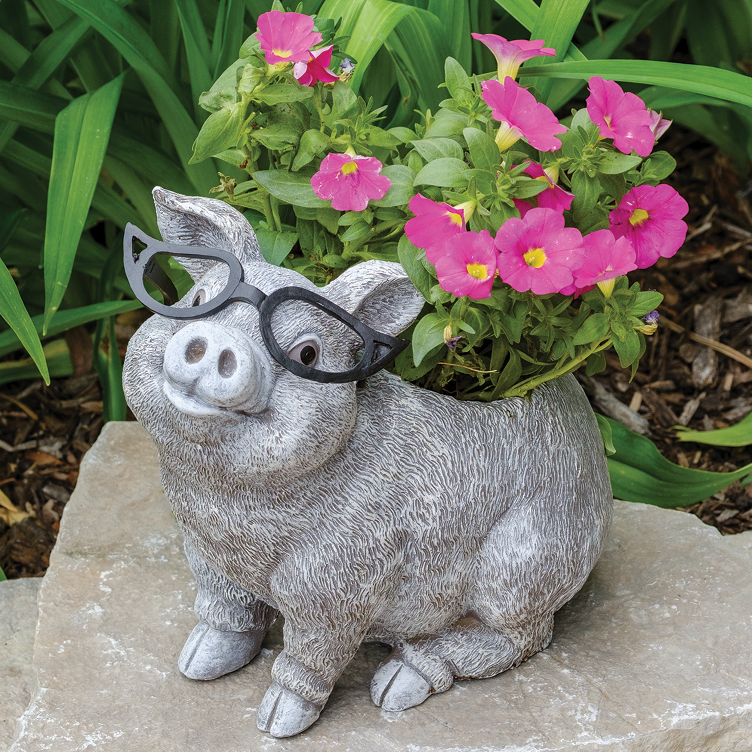 Pudgy Pals Pig with Glasses Planter