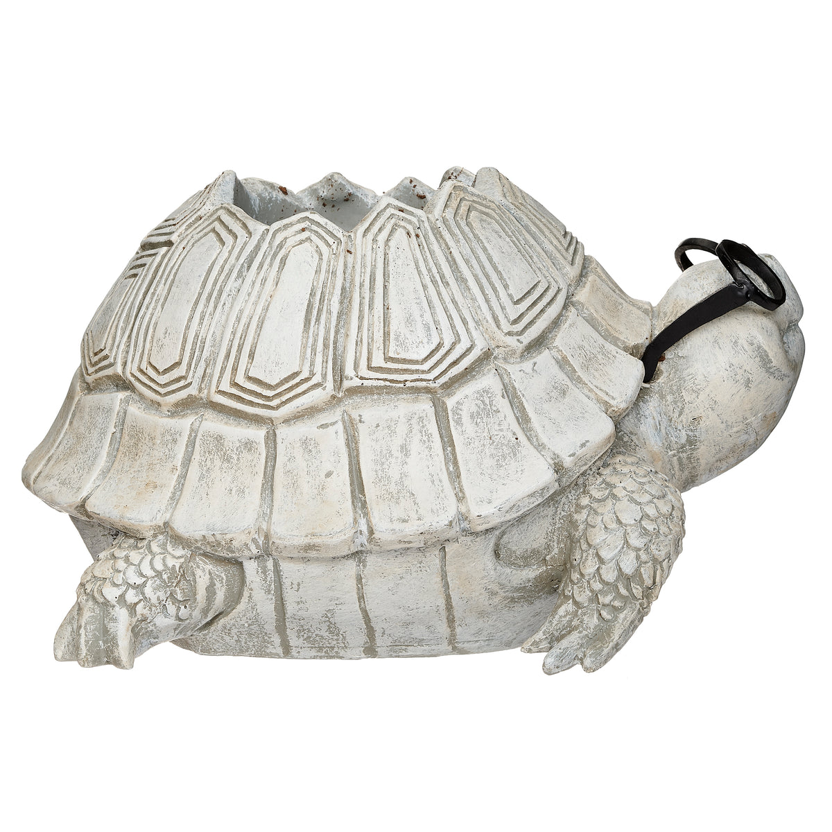 Opposite side view of Pudgy Pals Turtle with Glasses Planter showing the textured shell, turtle head, and planter cavity