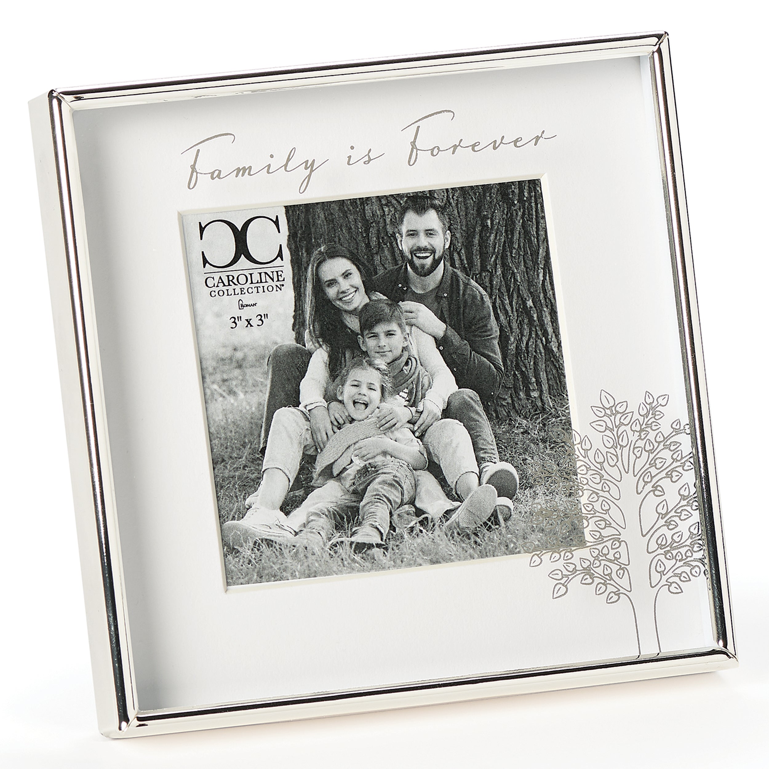 Caroline Collection Family Is Forever Frame