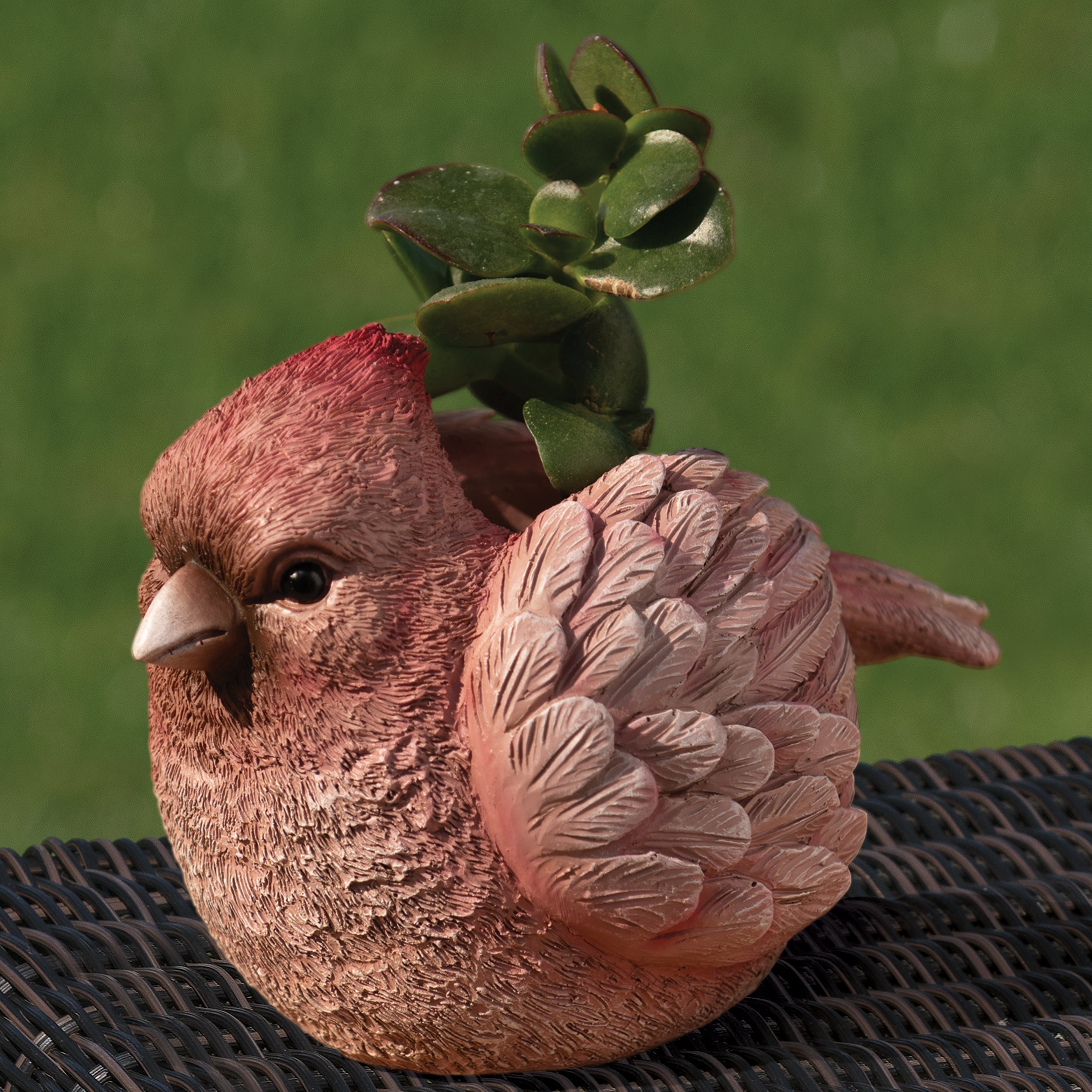 Pudgy Pals Cardinal Mini Planter