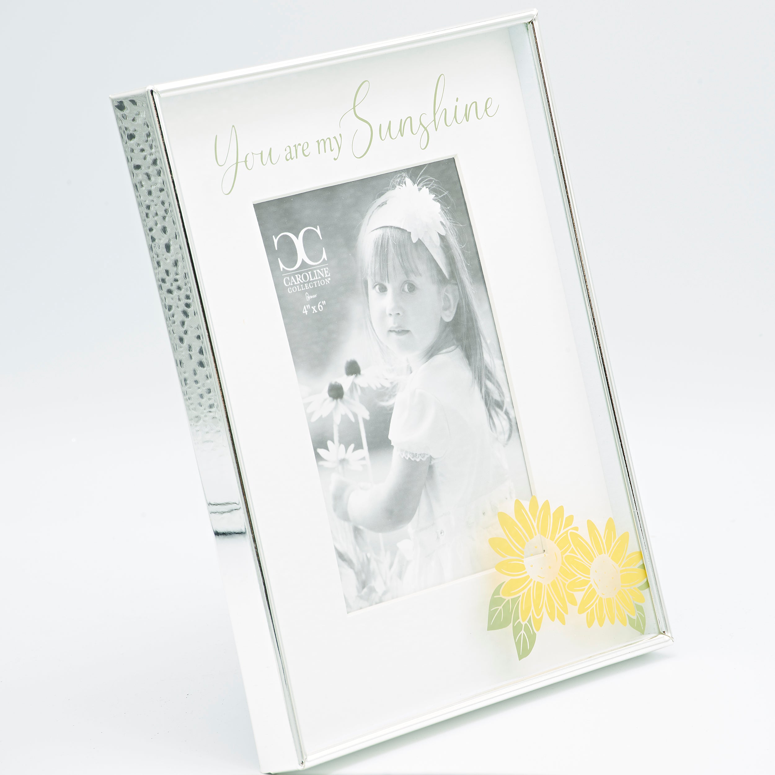 Caroline Collection You Are My Sunshine Floating Frame