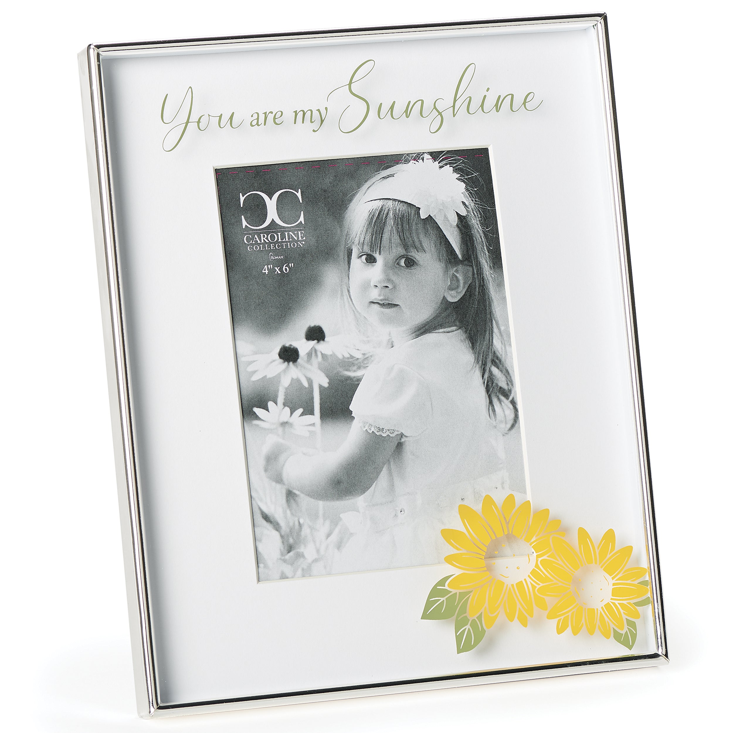 Caroline Collection You Are My Sunshine Floating Frame