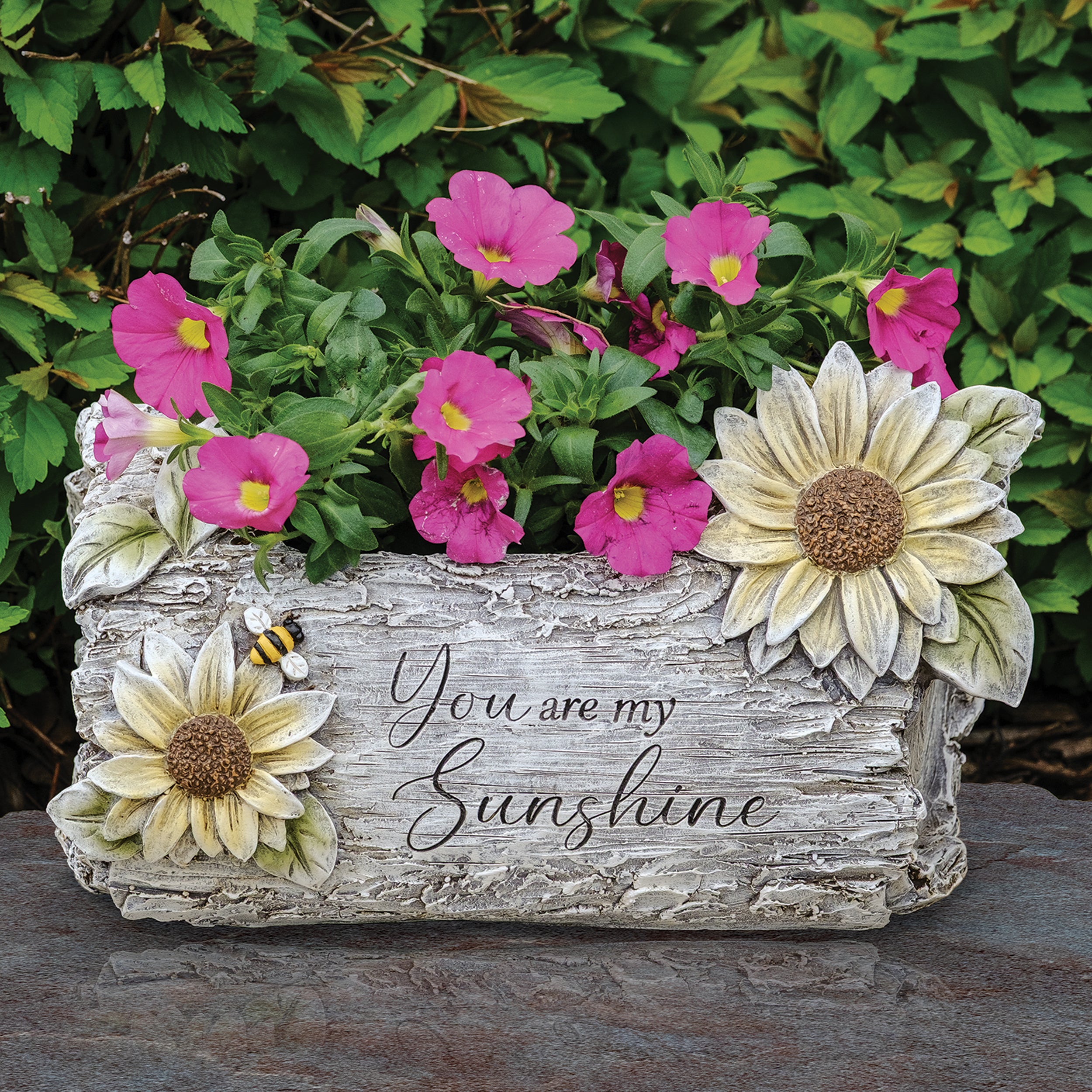 You Are My Sunshine Garden Planter