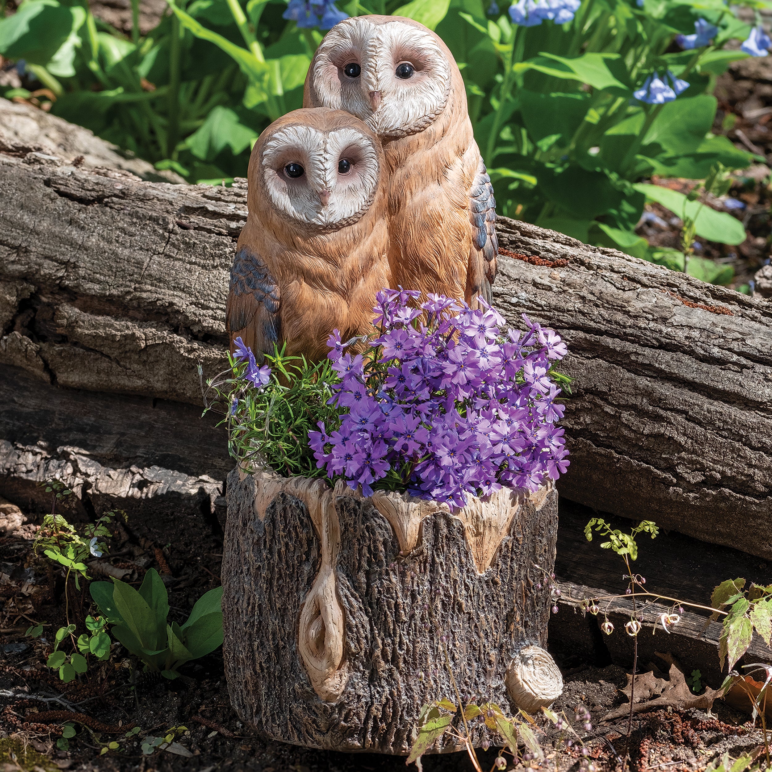 Barn Owl Pair Tree Trunk Planter