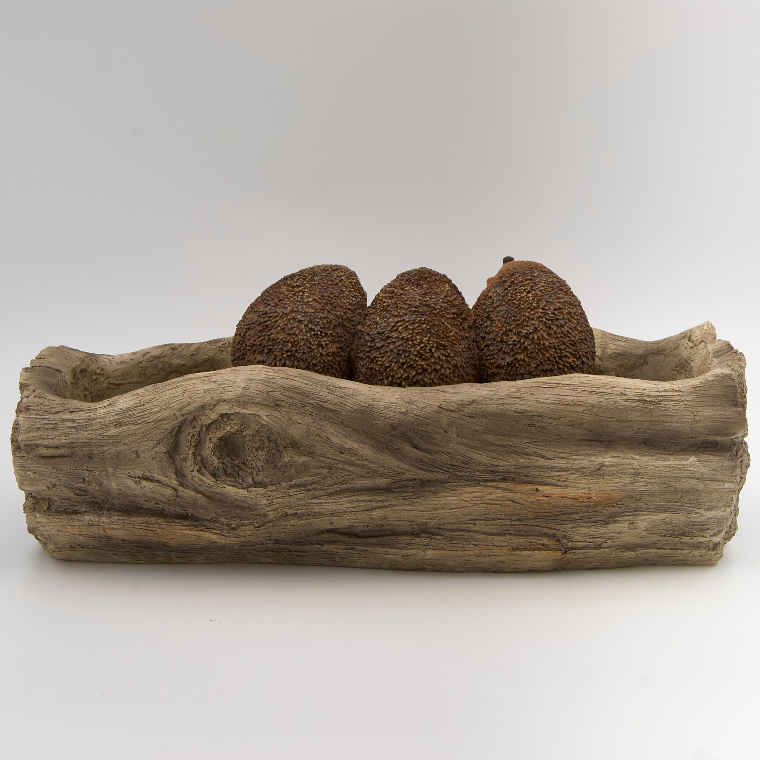 Happy Hedgehog Family Planter