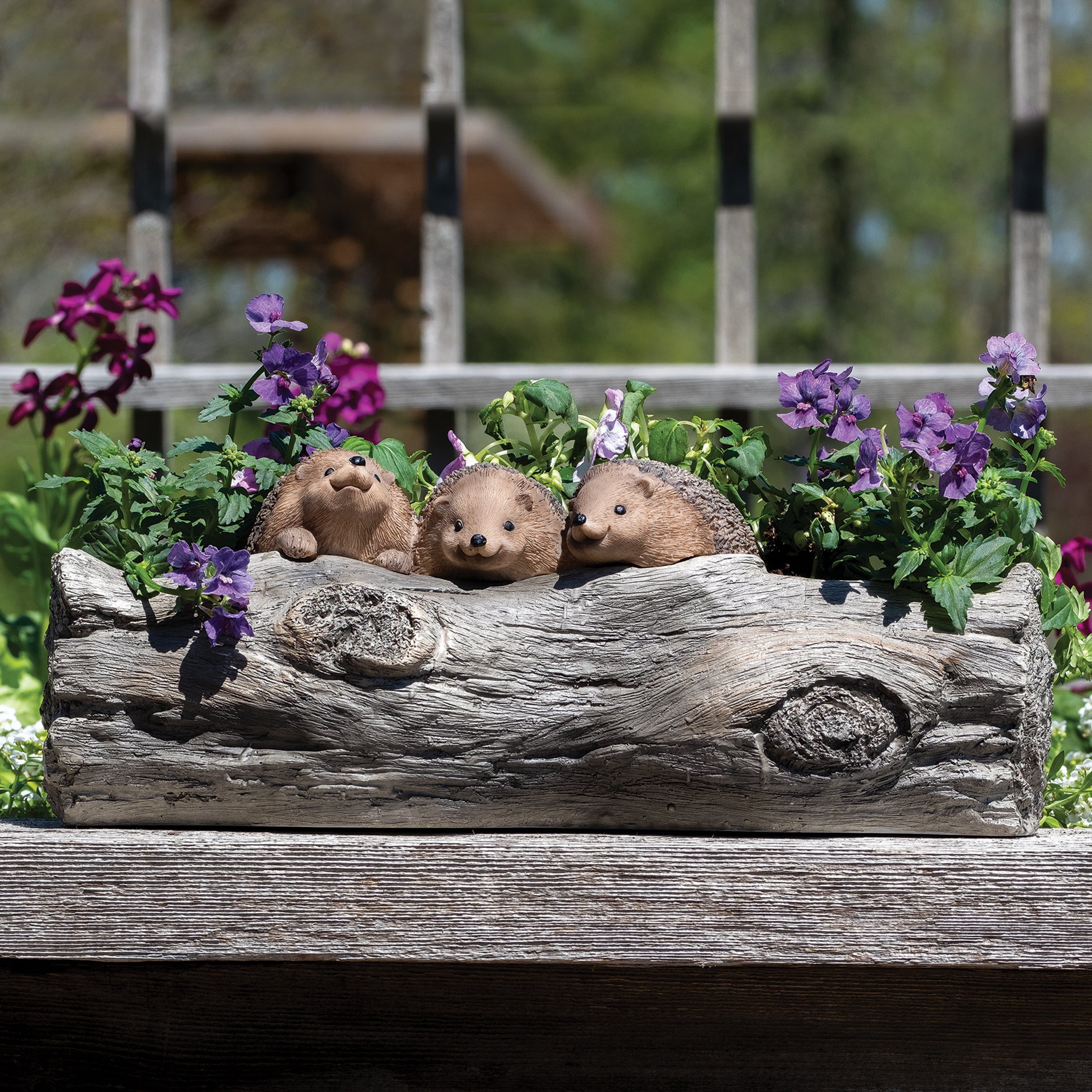 Happy Hedgehog Family Planter