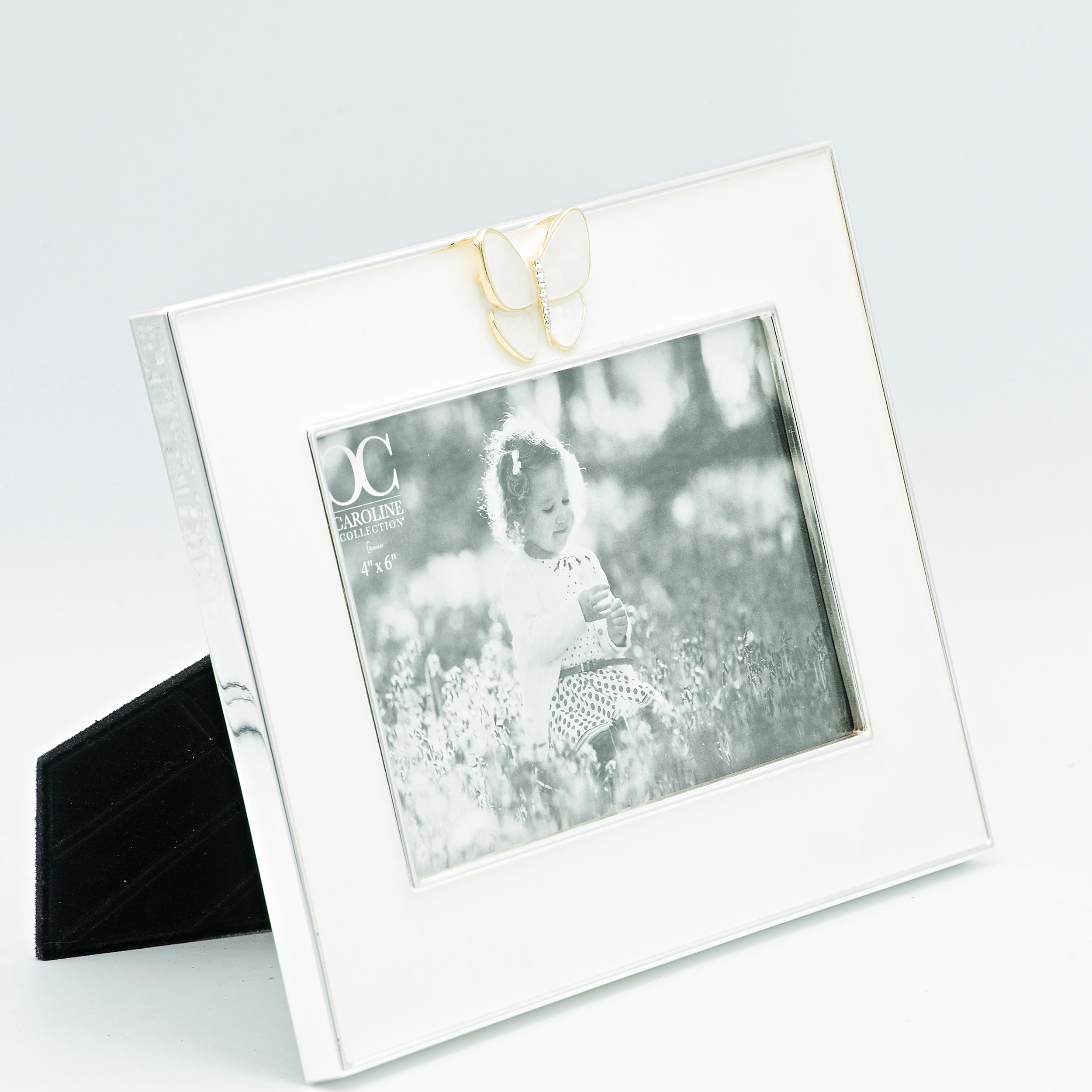 Caroline Collection Butterfly Frame