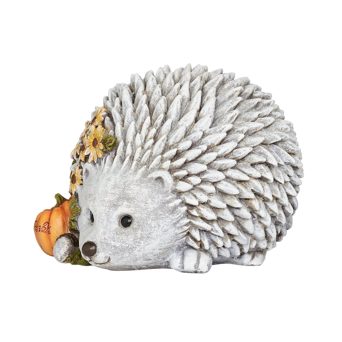 Opposite side view of hedgehog showing its pointed face, black eye, and textured spines.