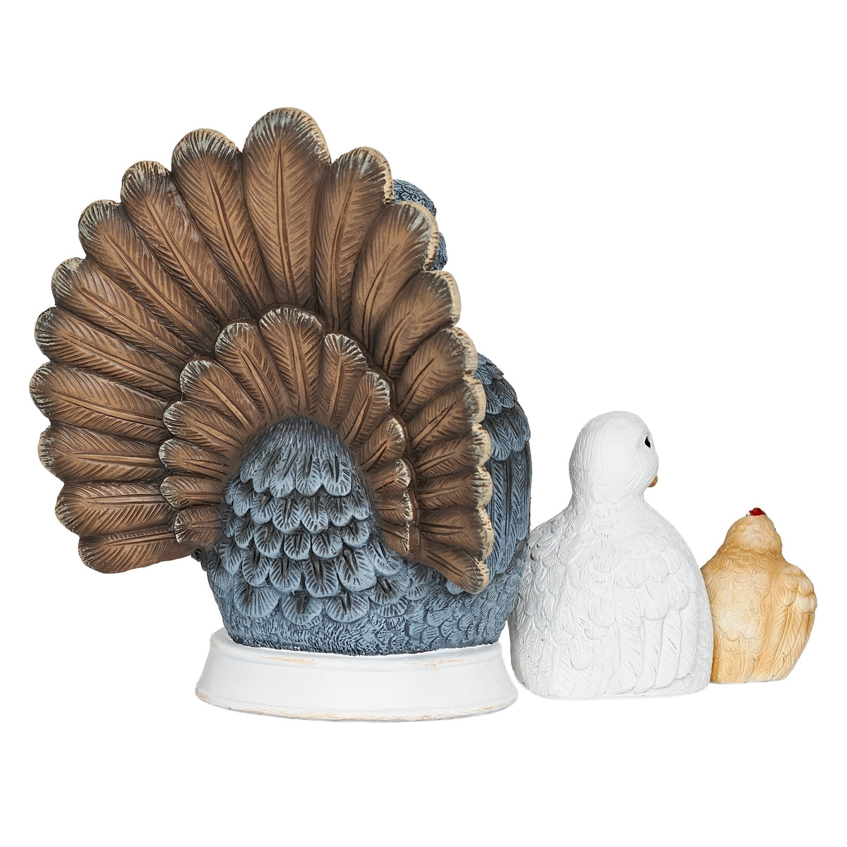 Rear view of all three nesting birds displayed separately, with the turkey’s broad feather fan behind them.