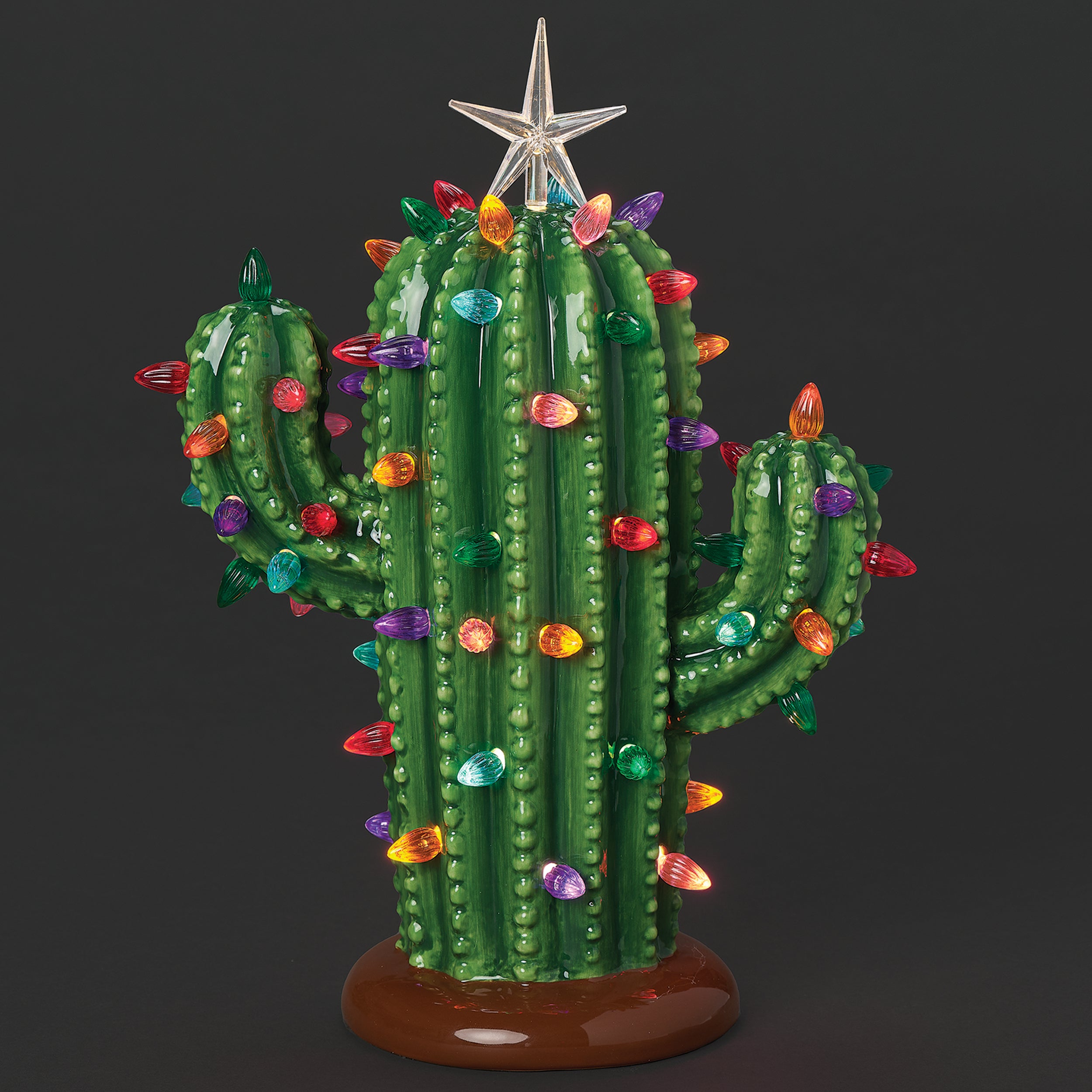 Lighted Ceramic Cactus