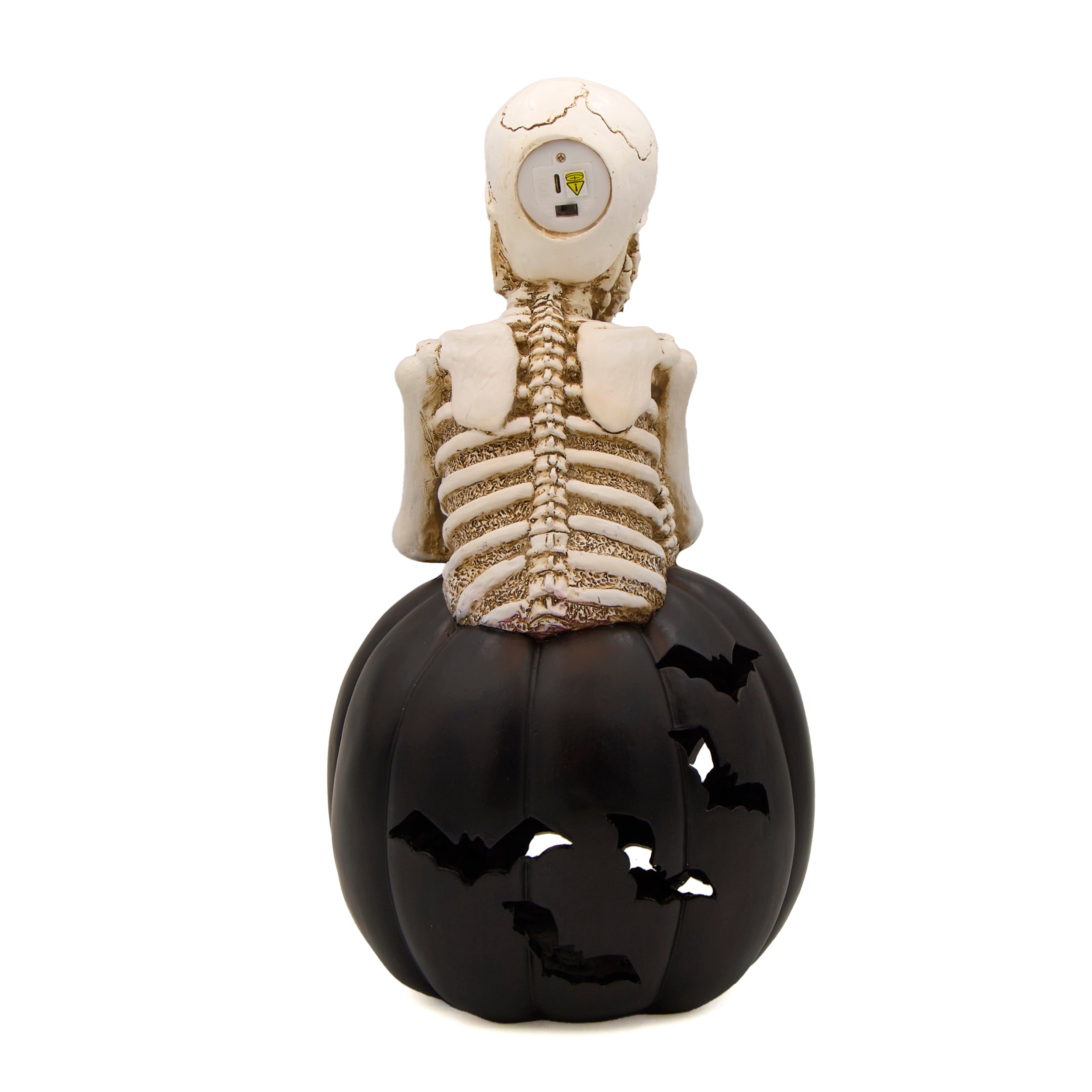 Lighted Skeleton & Black Pumpkin