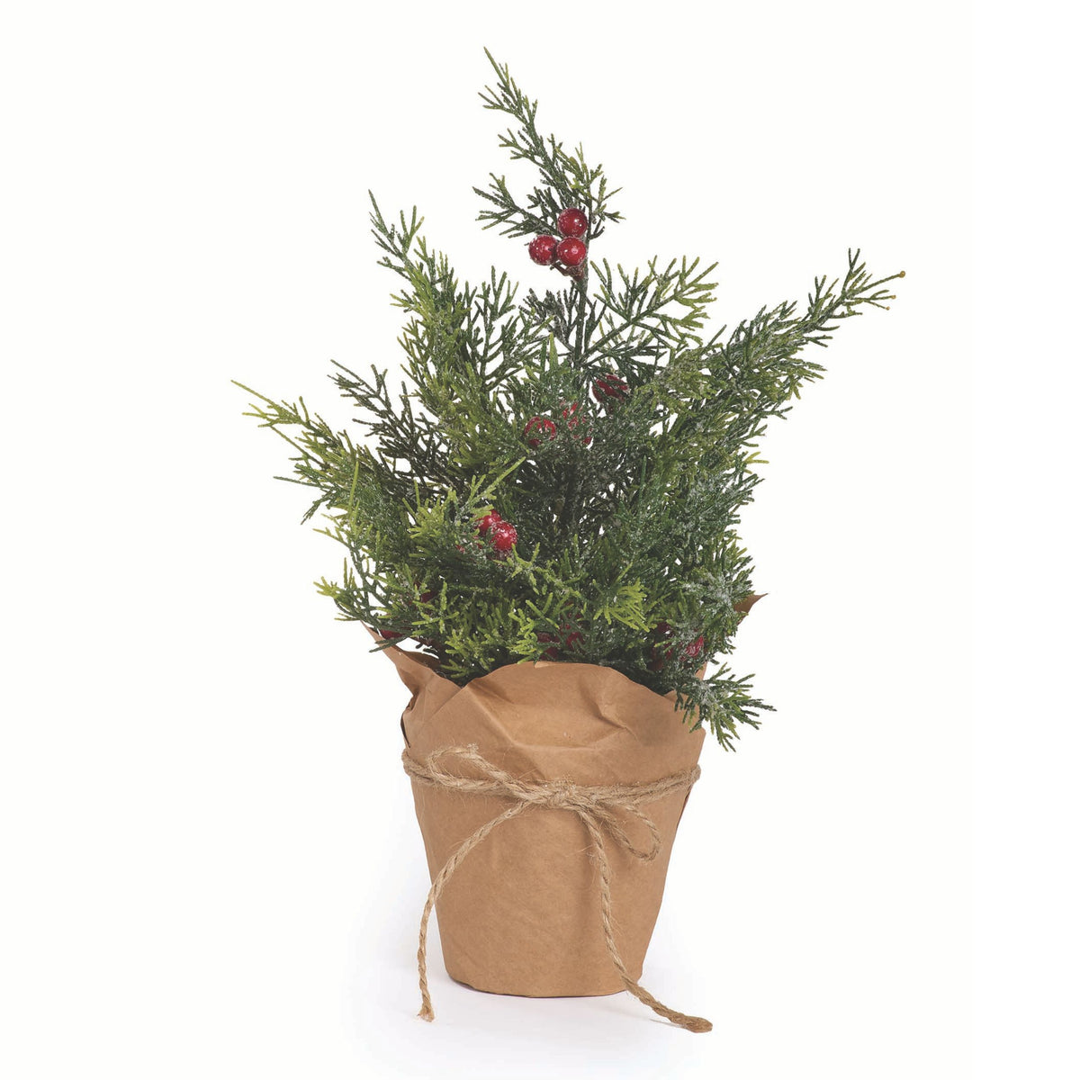 Ice Cypress W/Berries & Burlap Base