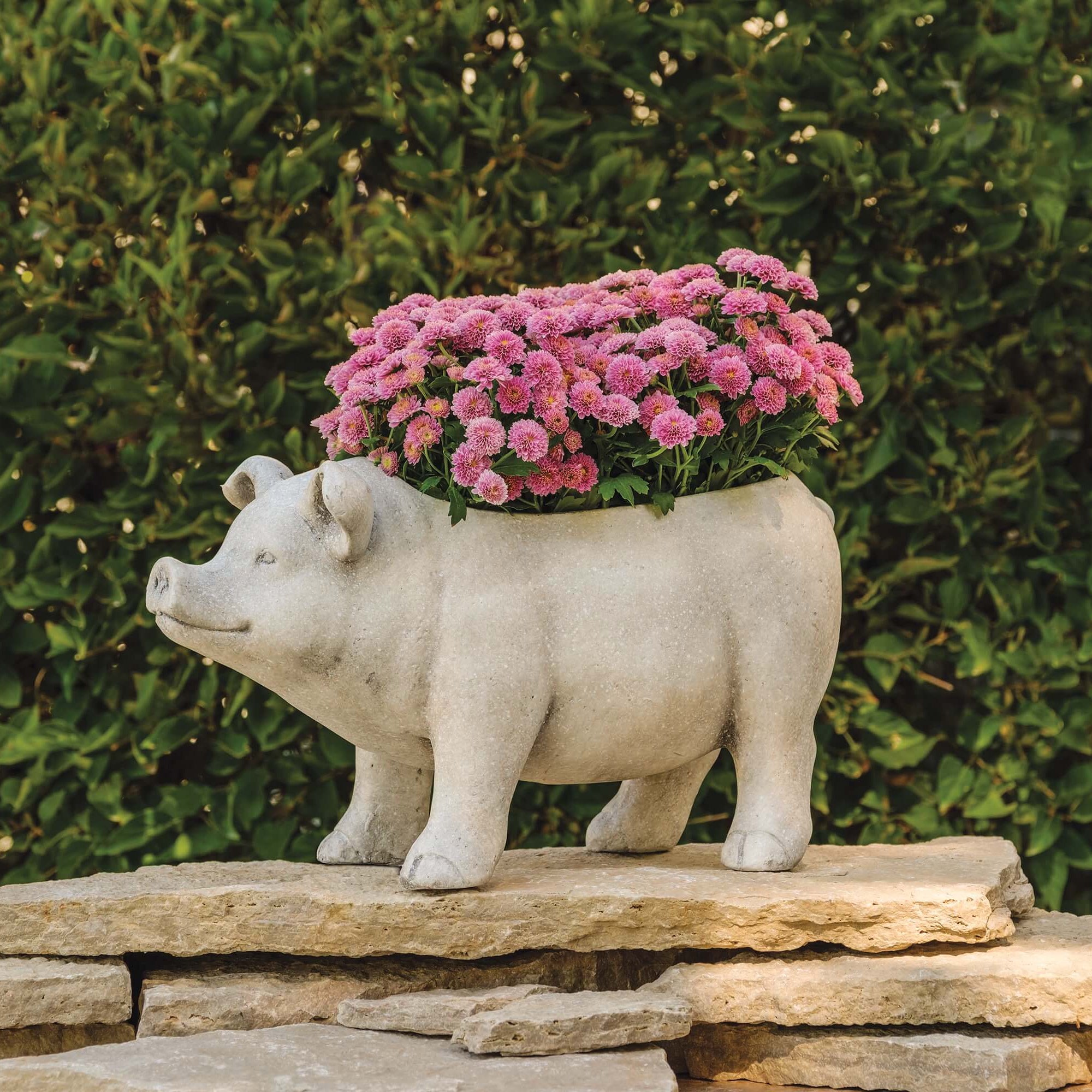 Decorative stone pig planter with pink flowers against a green hedge background