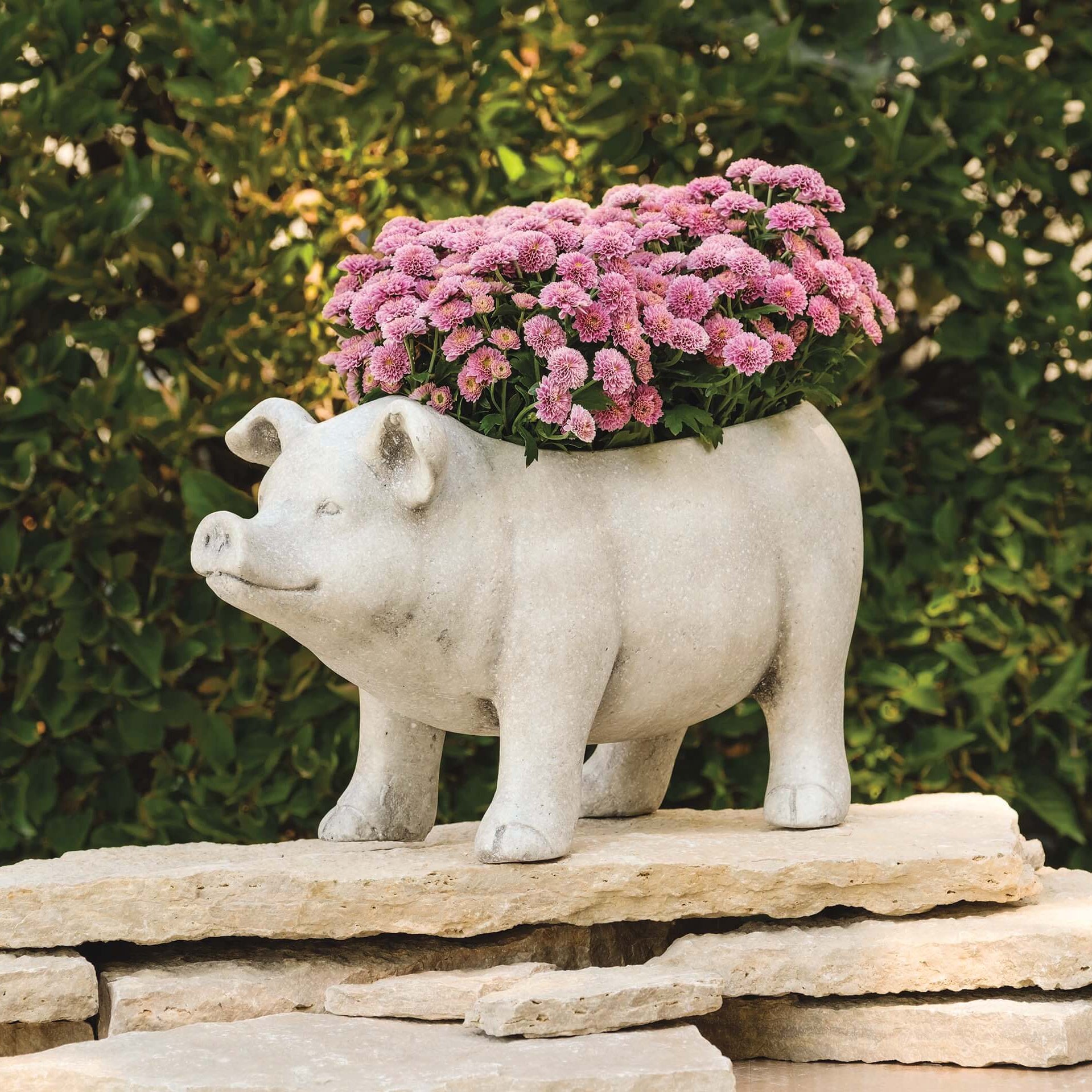Farmhouse Pig Garden Planter