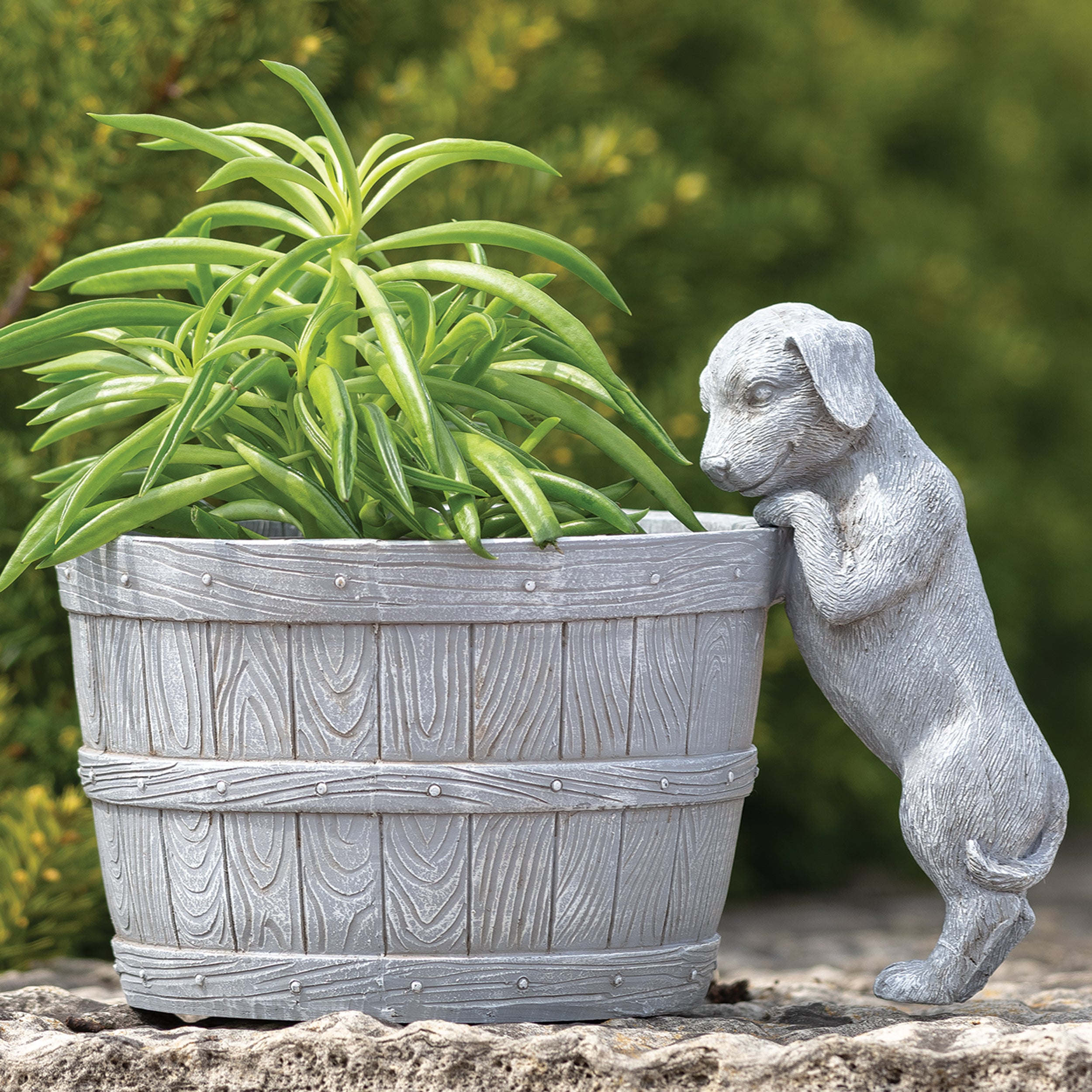 Puppy Bucket Planter