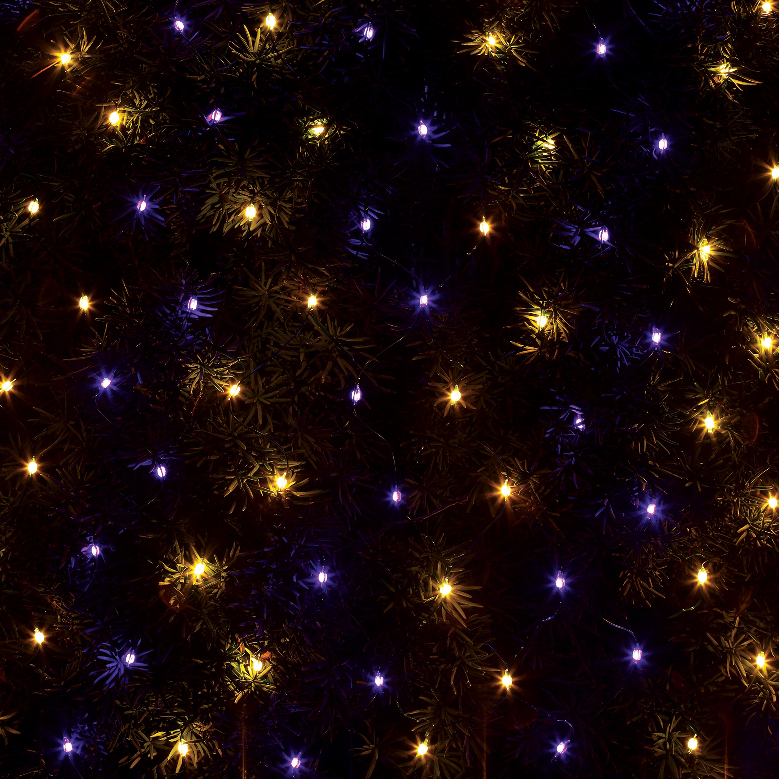 Roman Lights Color-Changing Starry LED Net Lights