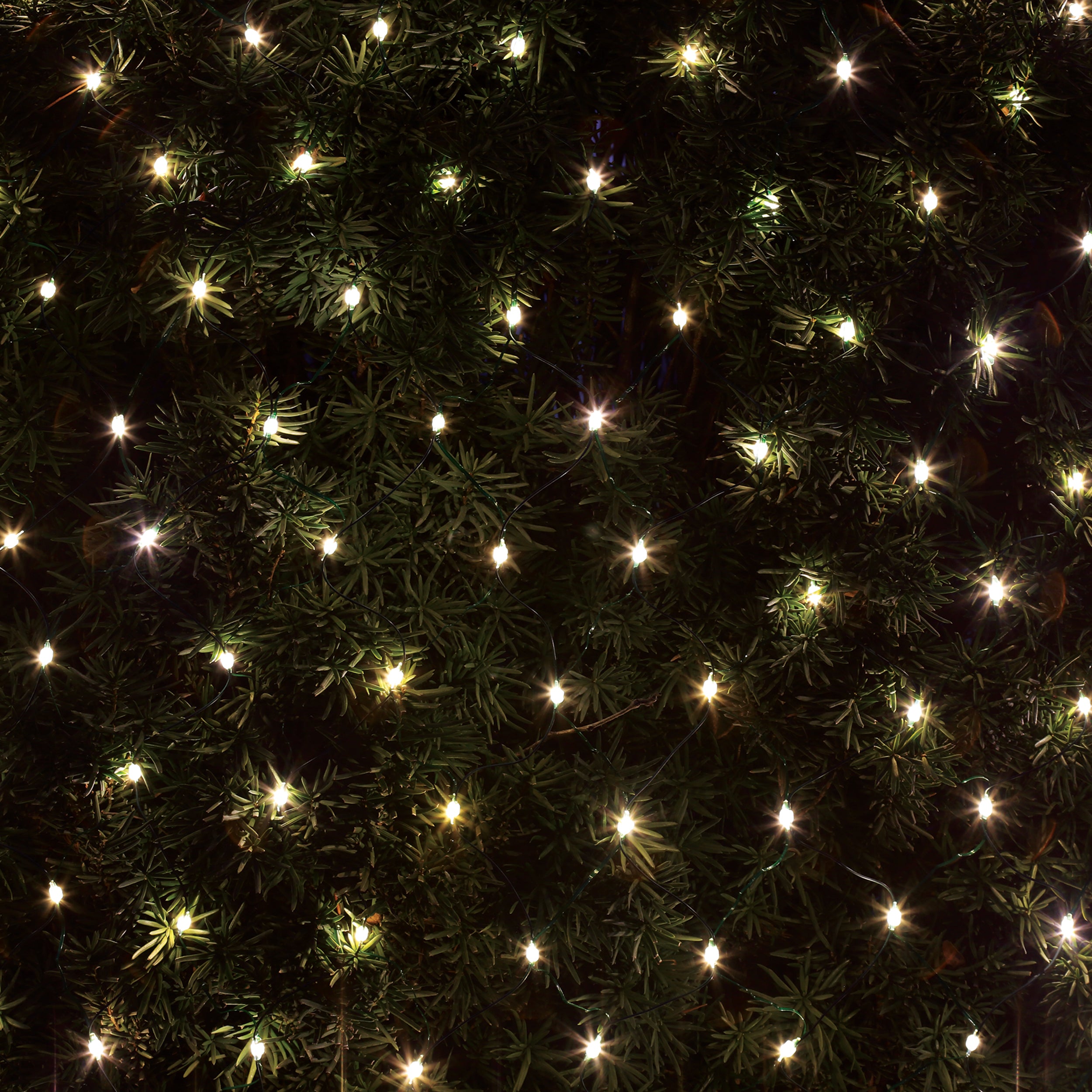 Roman Lights Color-Changing Starry LED Net Lights