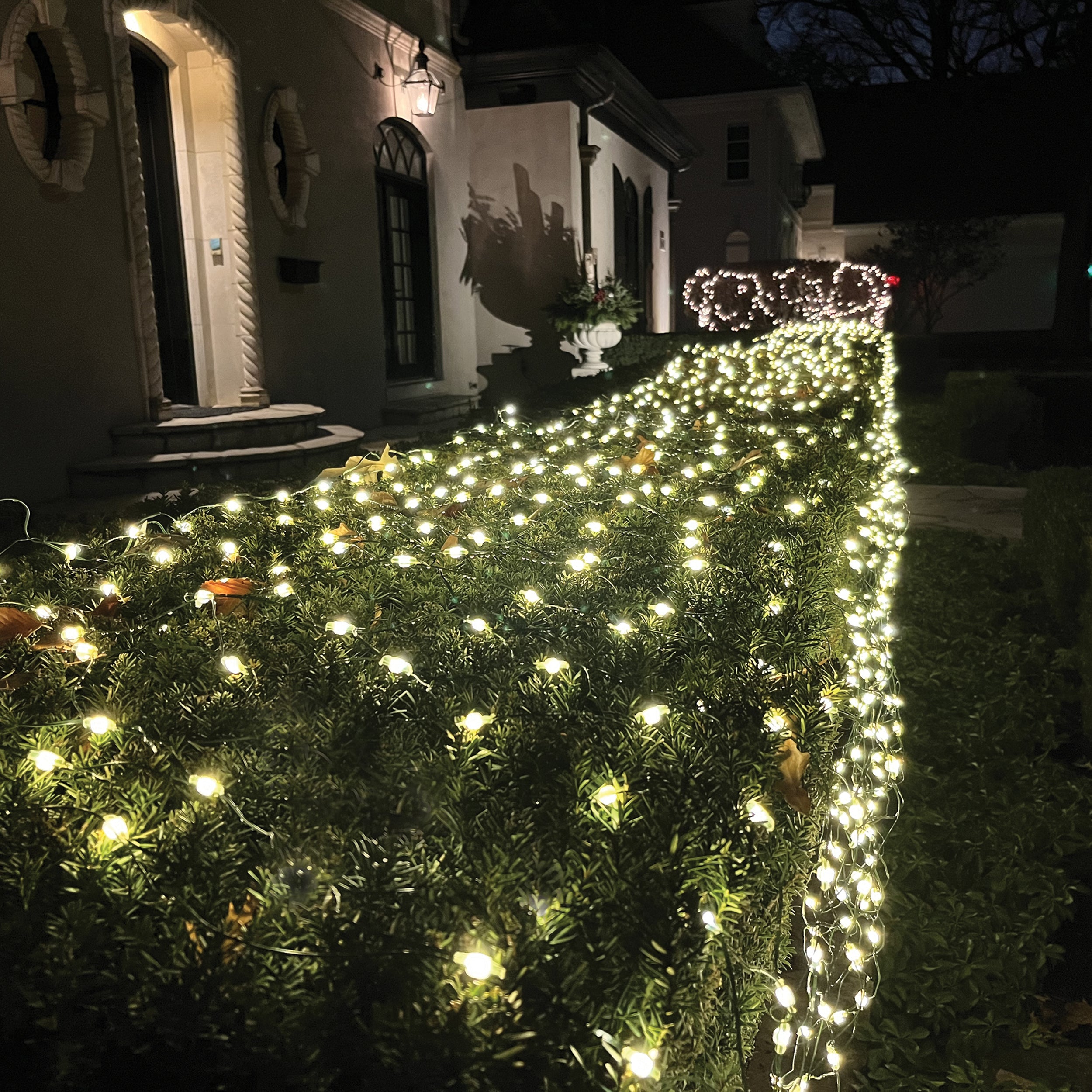 Roman Lights Color-Changing Starry LED Net Lights