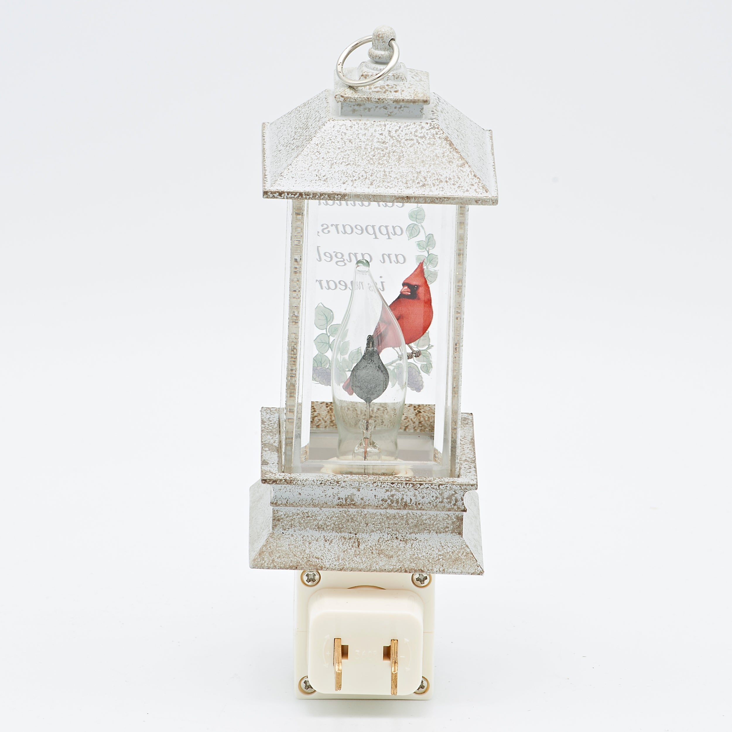 Roman Lights Cardinal Memorial Lantern Night-Light