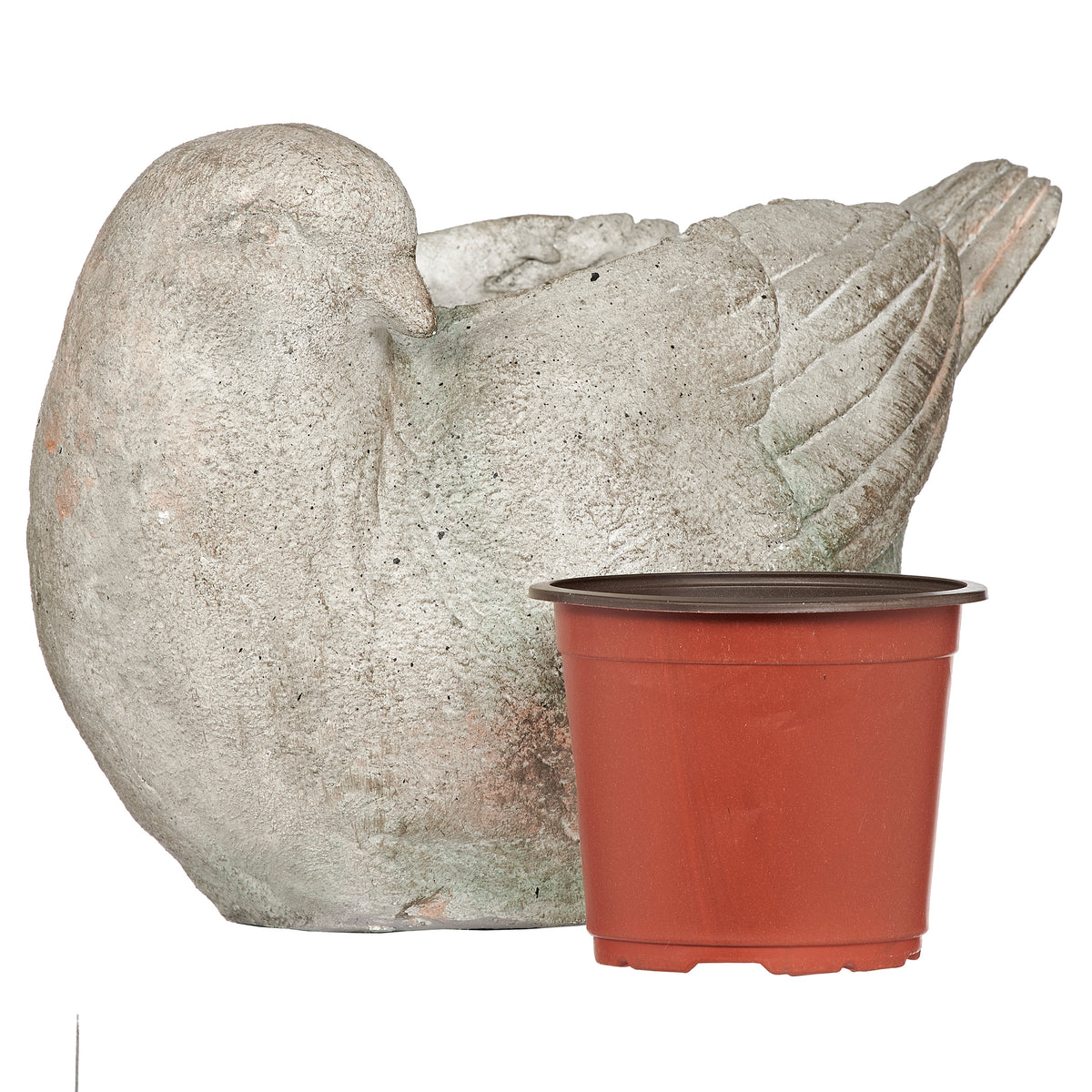 Bird Planter shown beside a small red nursery pot for size reference
