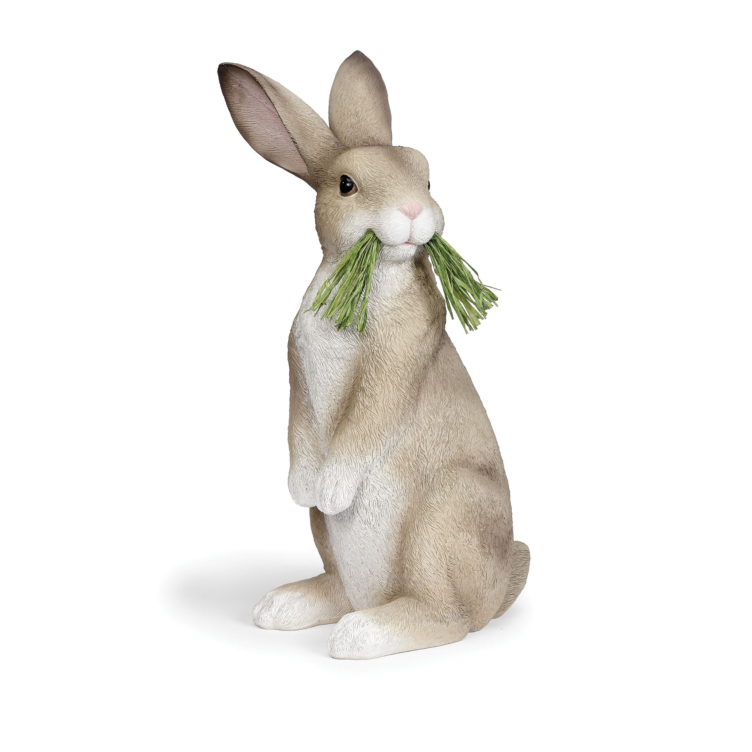 rabbit holding a piece of grass on a white background