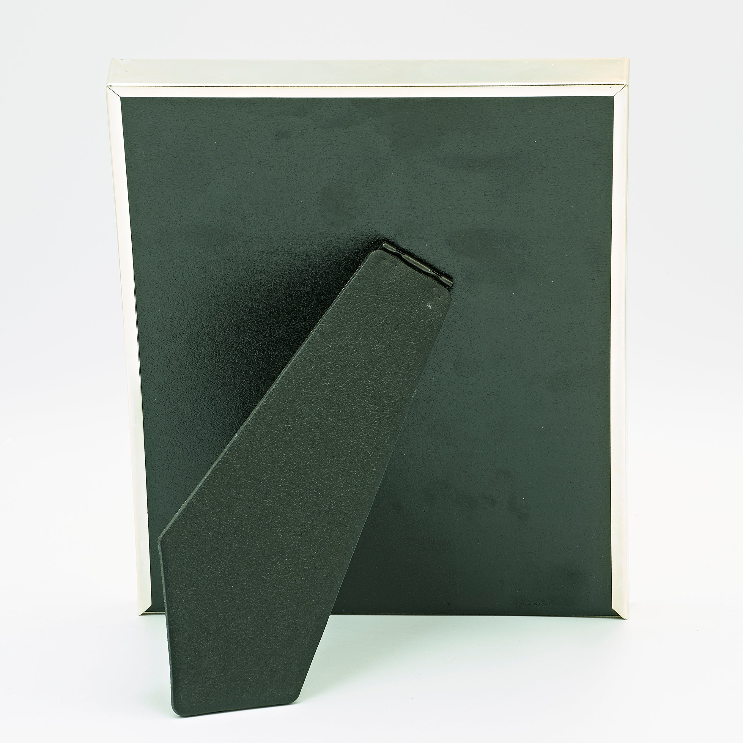 Caroline Collection Floating Engagement Frame