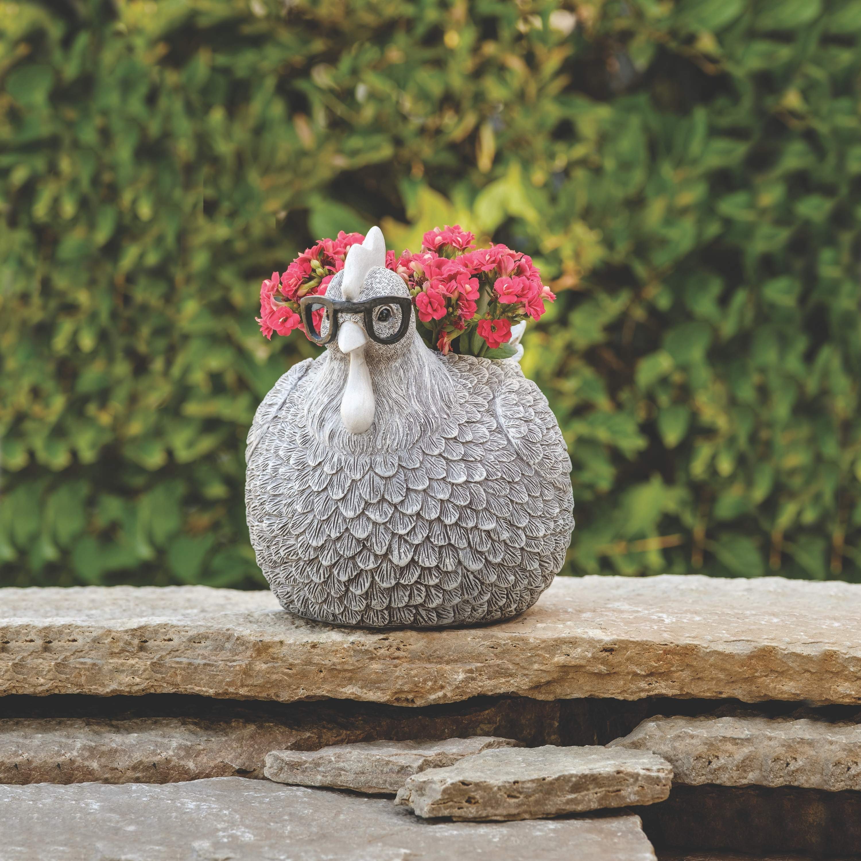 Silly Spectacles Chicken Planter