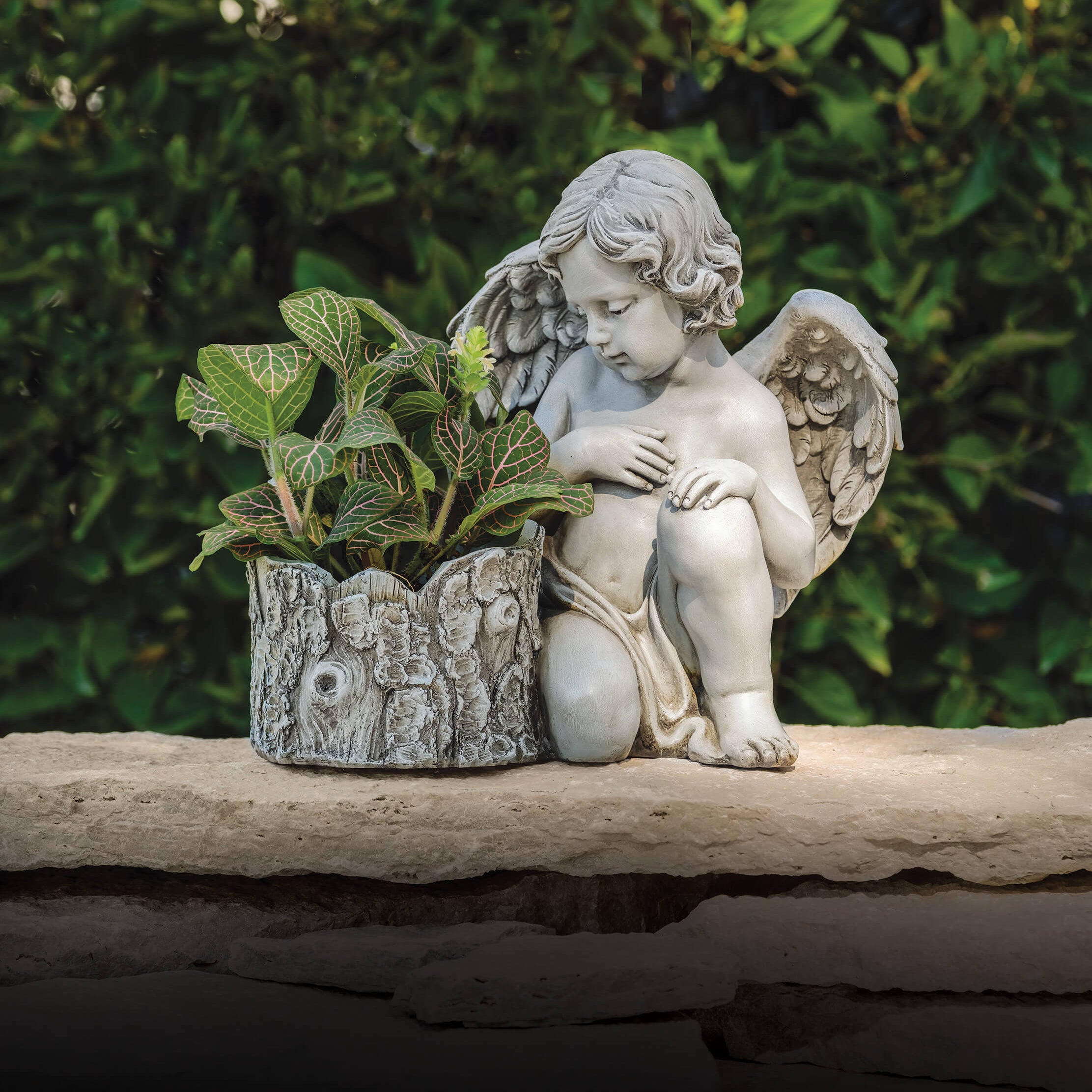 Statue of an angel with a plant in a pot on a stone ledge with a green foliage background